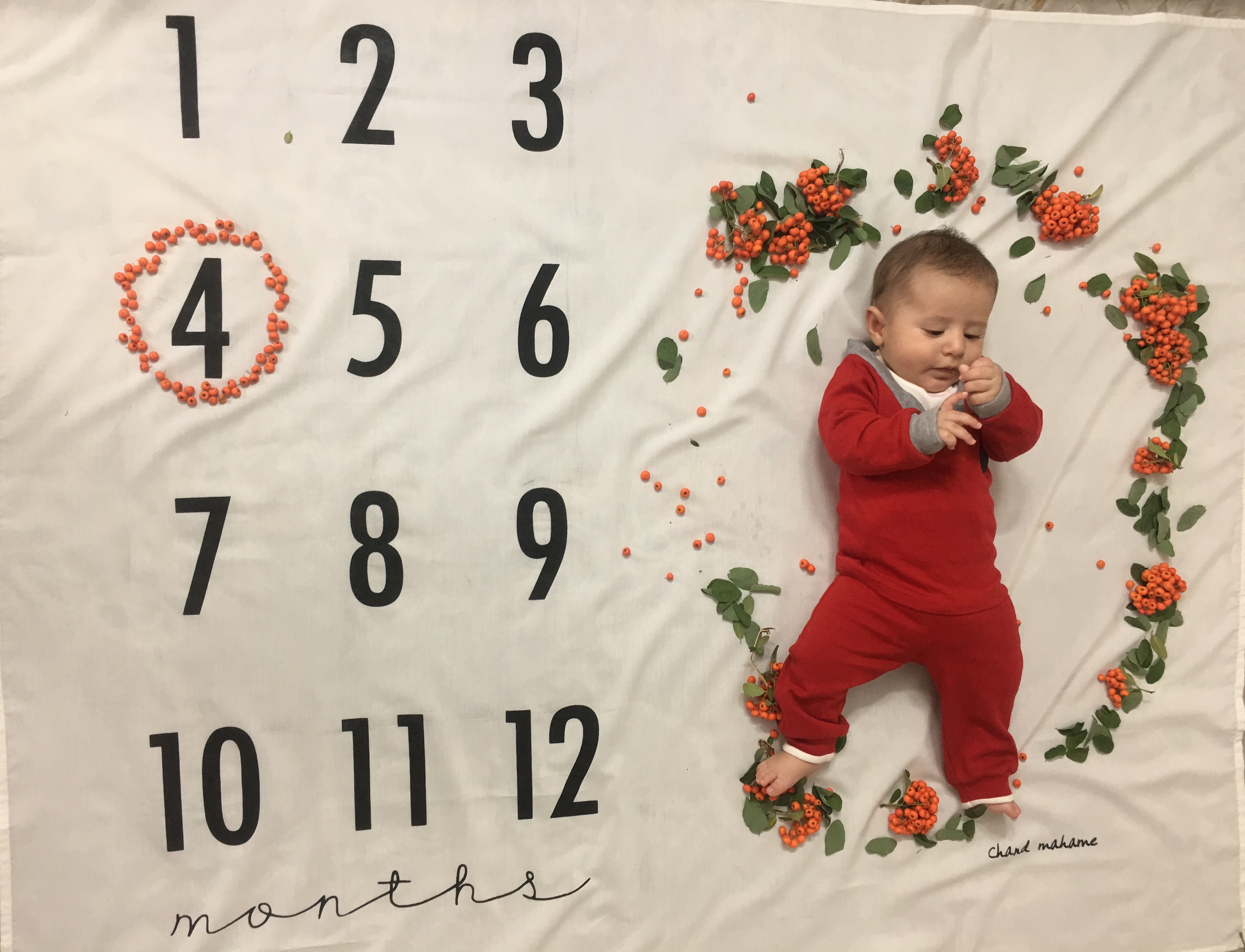 غلتیدن نوزاد سورنا مقديد