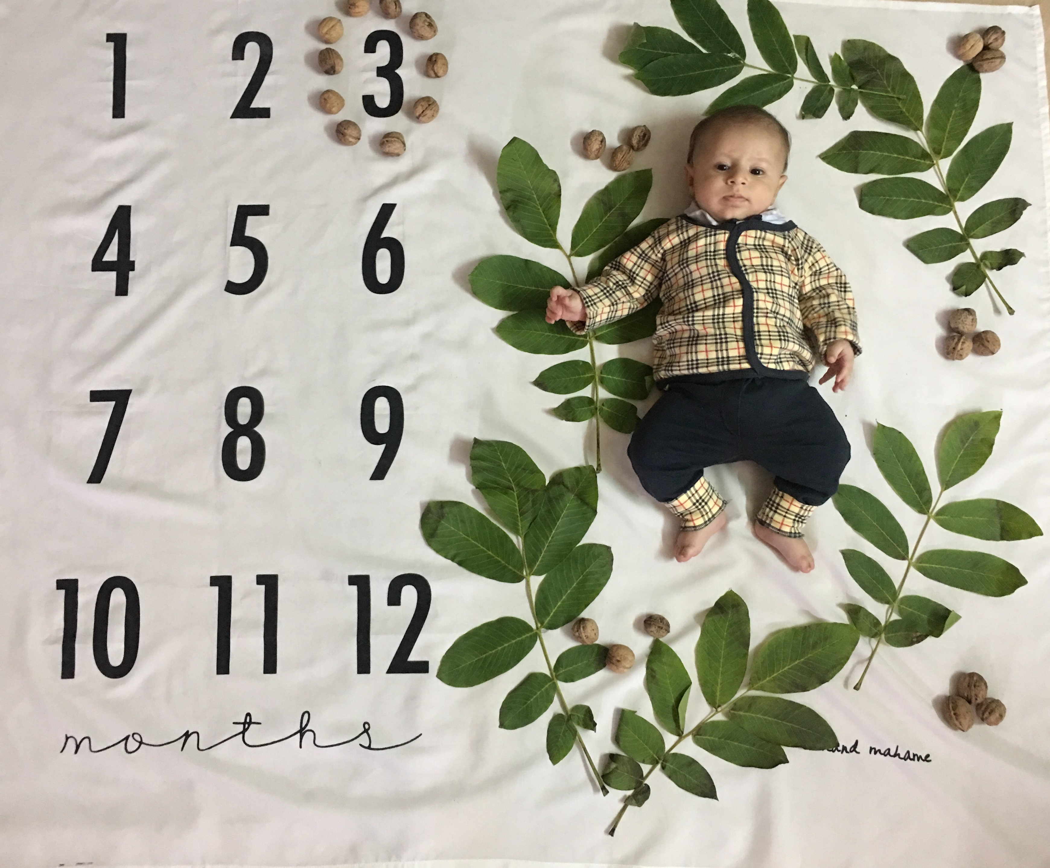 عکس محرم کودک سورنا مقديد