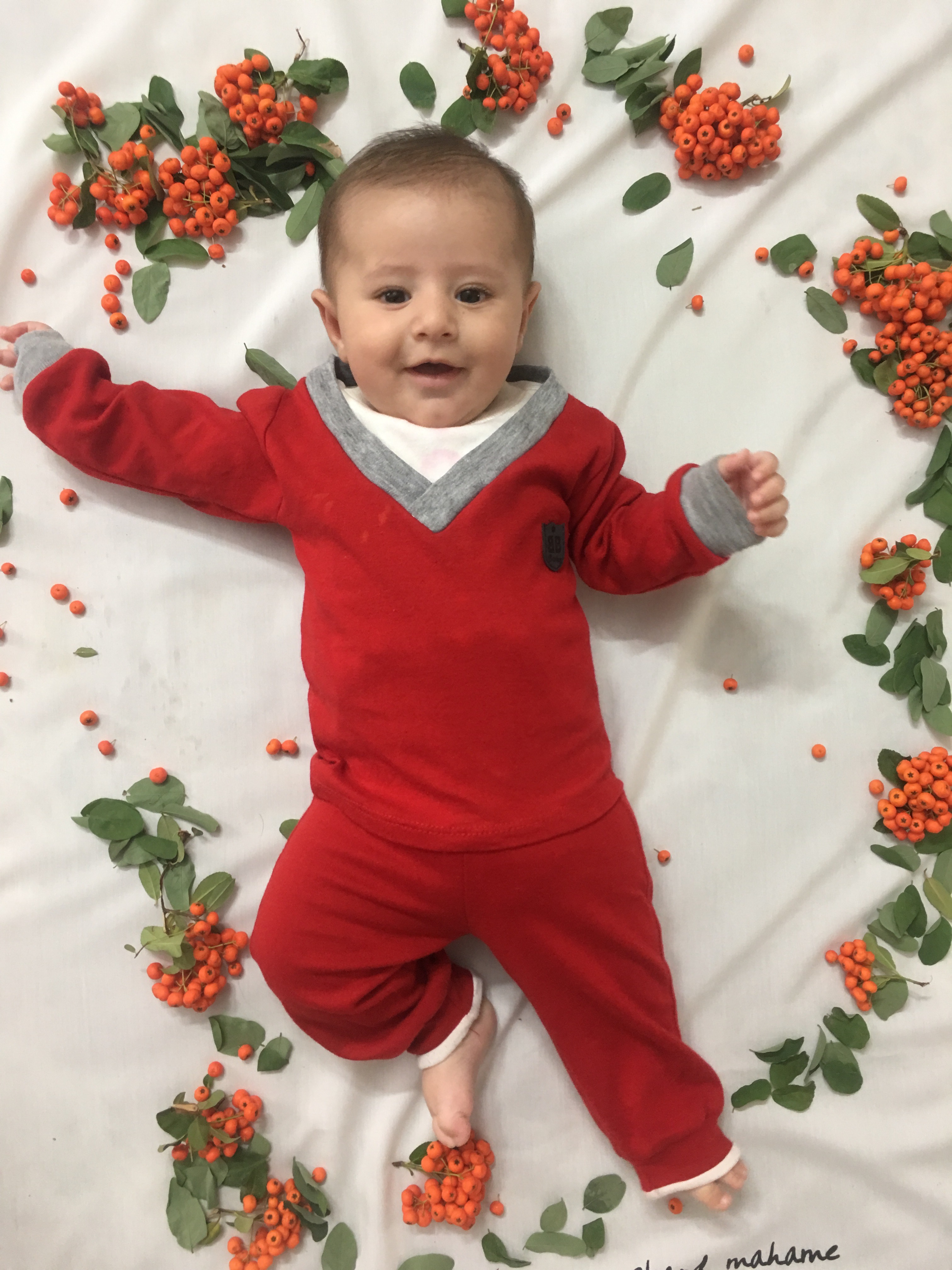 عکس نوزاد پسر سورنا مقديد