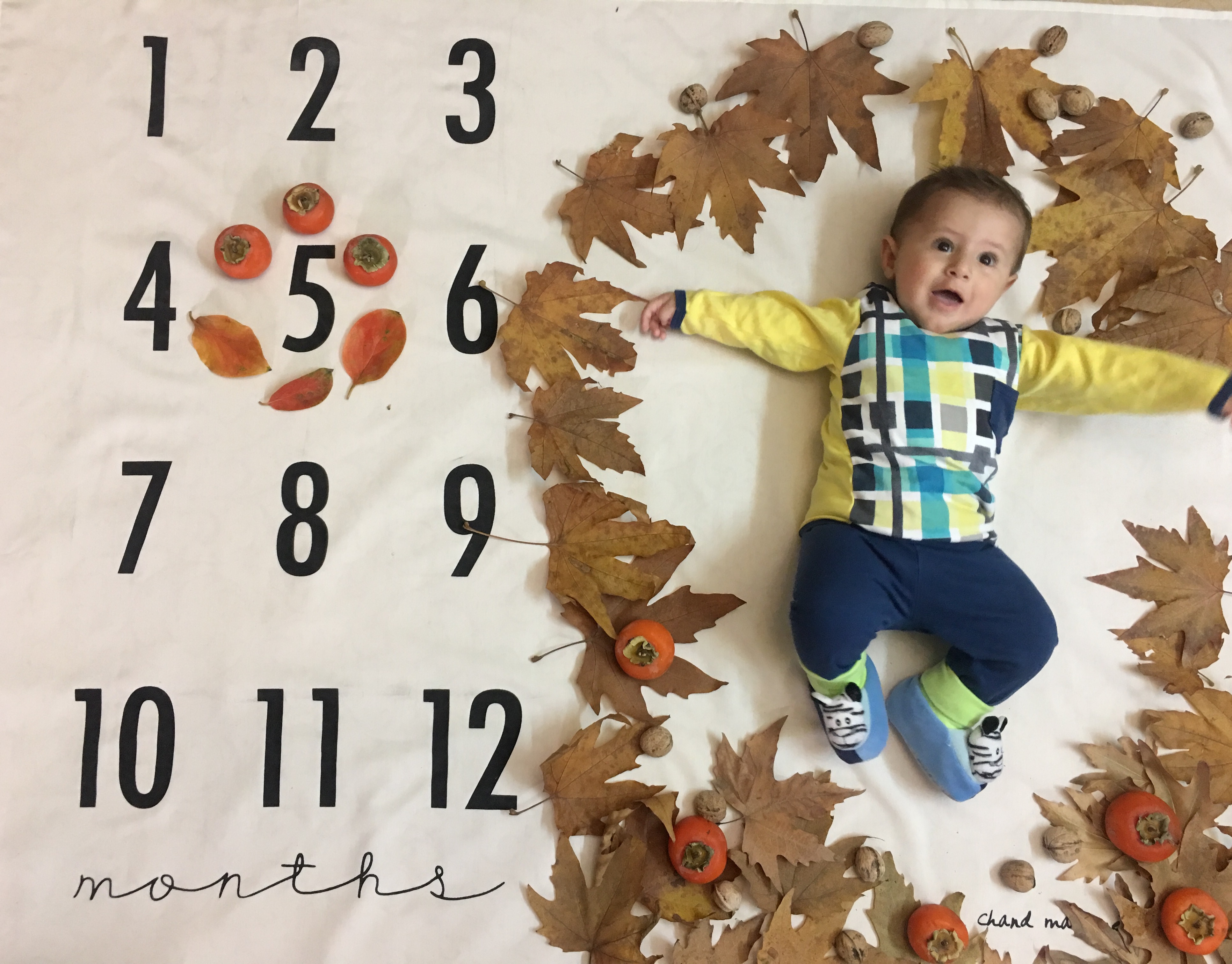 پارچه-های-عکاسی-12409