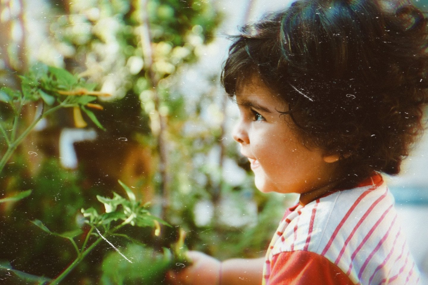 نوزده ماهگی کودک محمدطاهافارسی