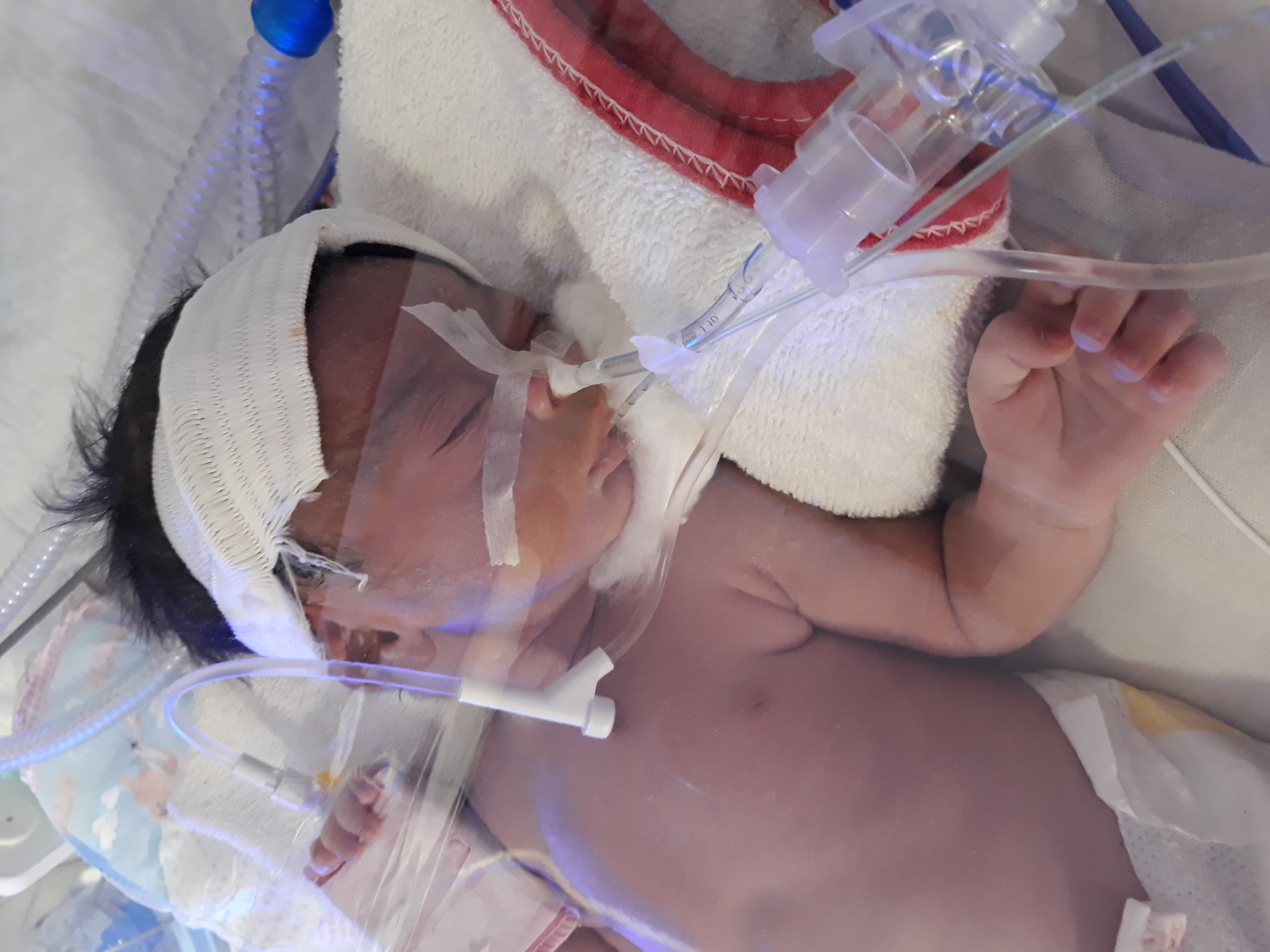 متولد شدن نوزاد نازگل غفاری