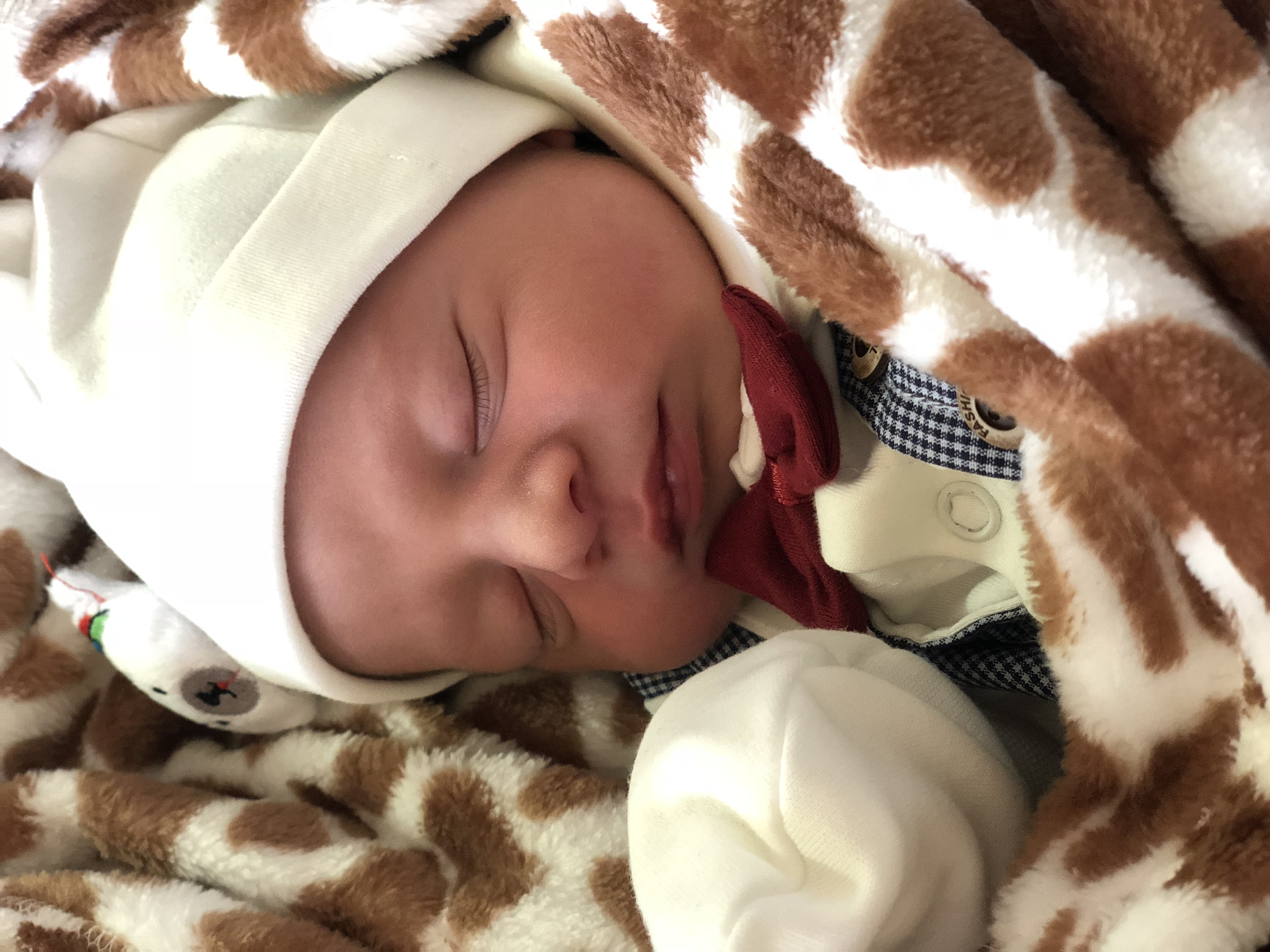 متولد شدن نوزاد آراز  شافعی