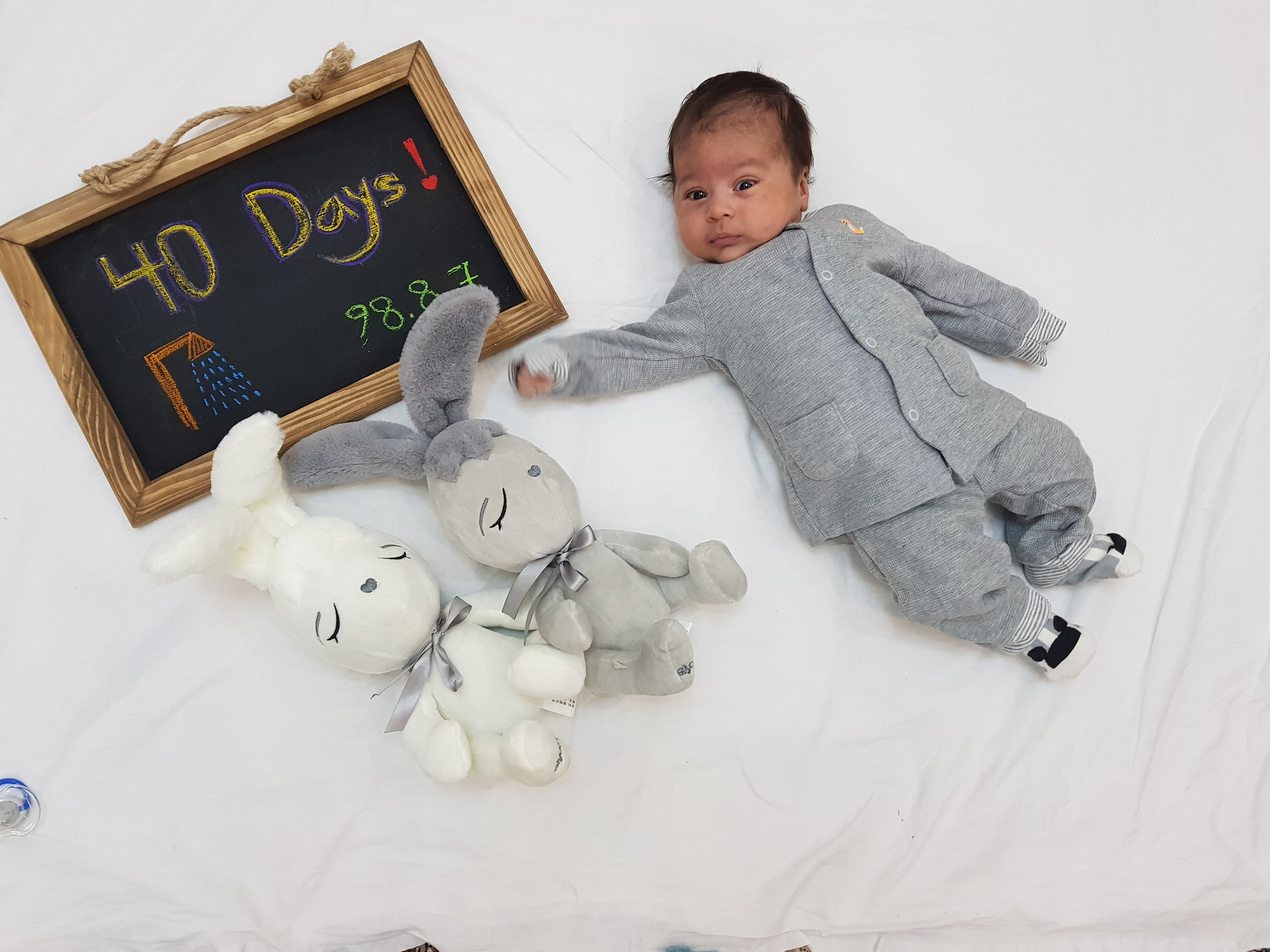 چهل روزگی لیام الهامی پور