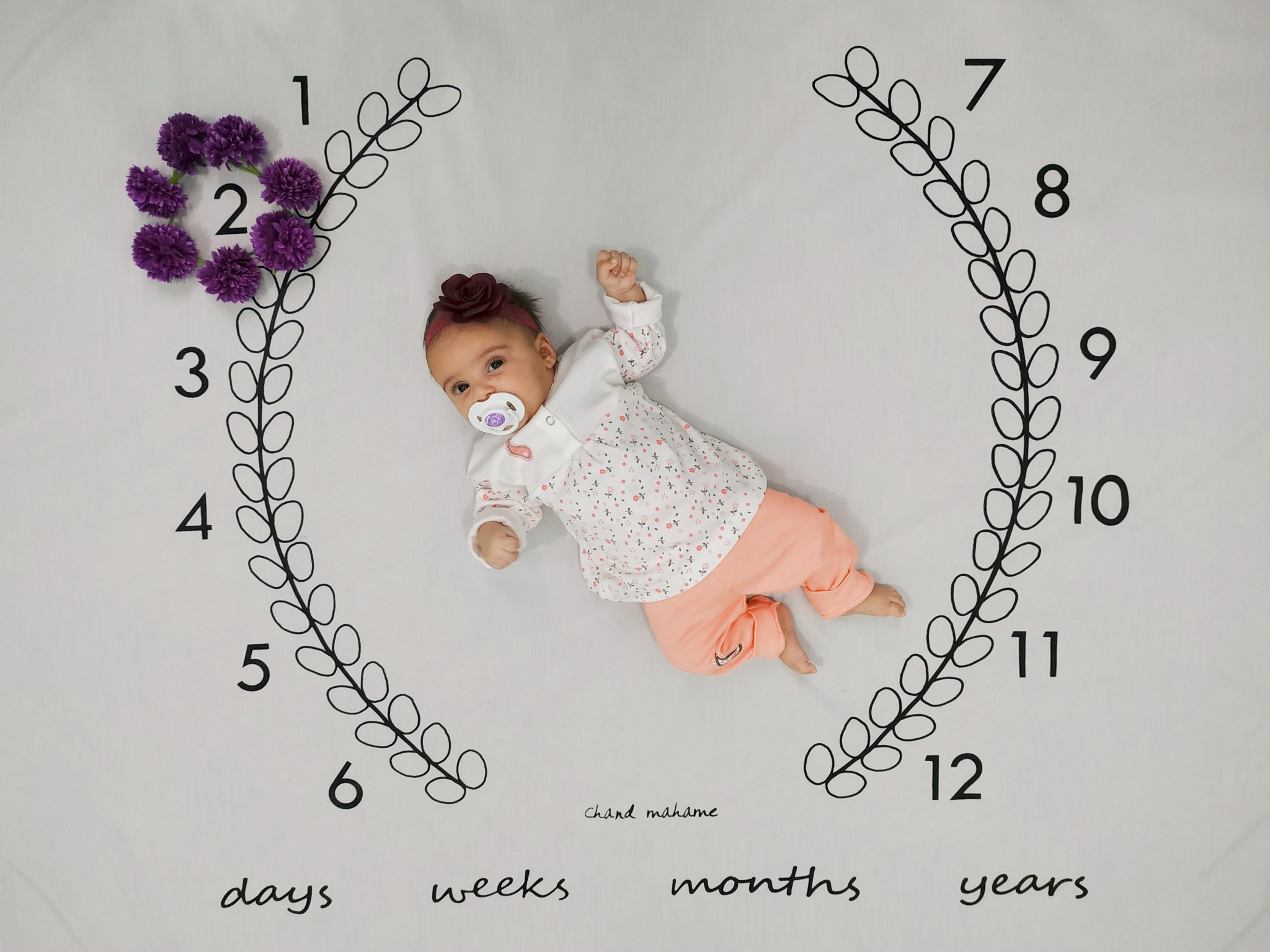 پارچه ماه شمار طرح شاخه زیتون نهال عنایت زاده