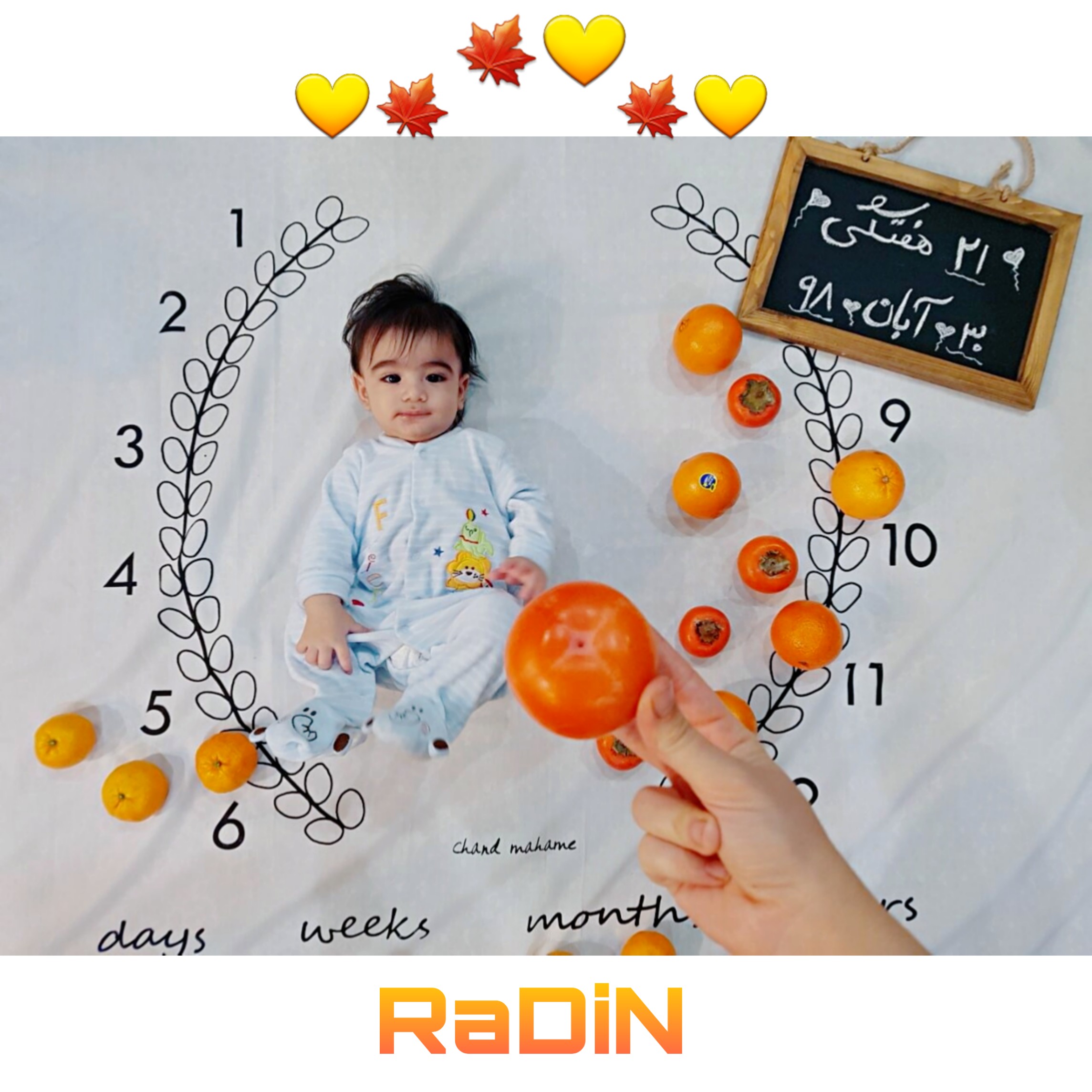 پنج ماهگی نوزاد رادین گلبنی