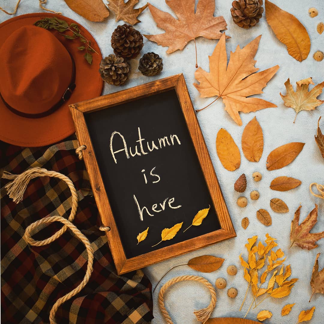 تخته سیاه فانتزی سامین عباسی