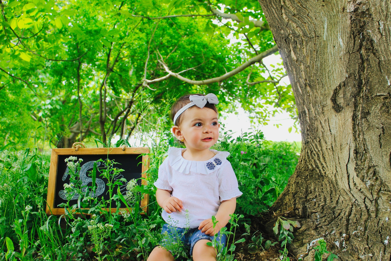 شانزده ماهگی کودک میترا زارع