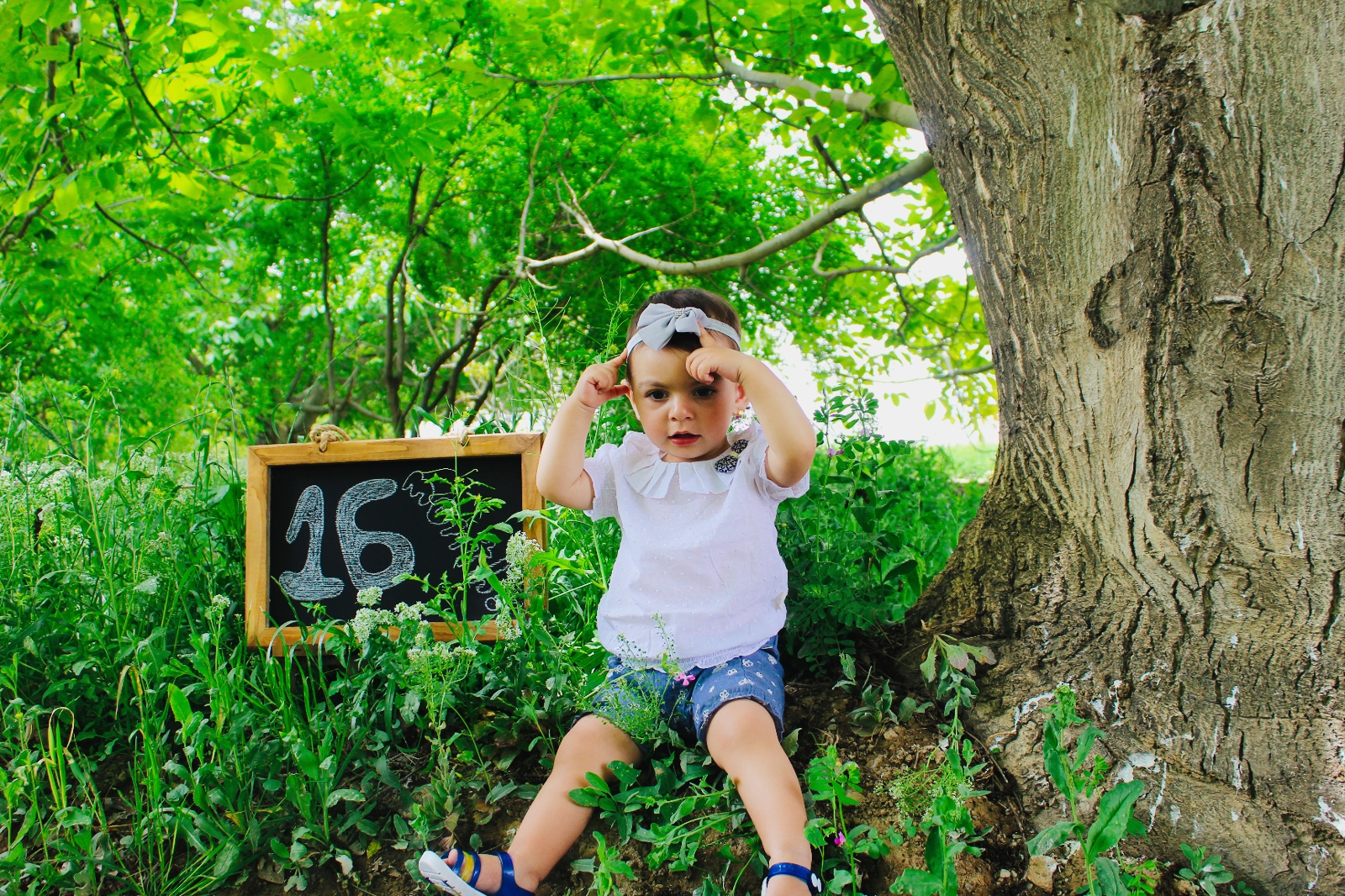 شانزده ماهگی کودک میترا زارع