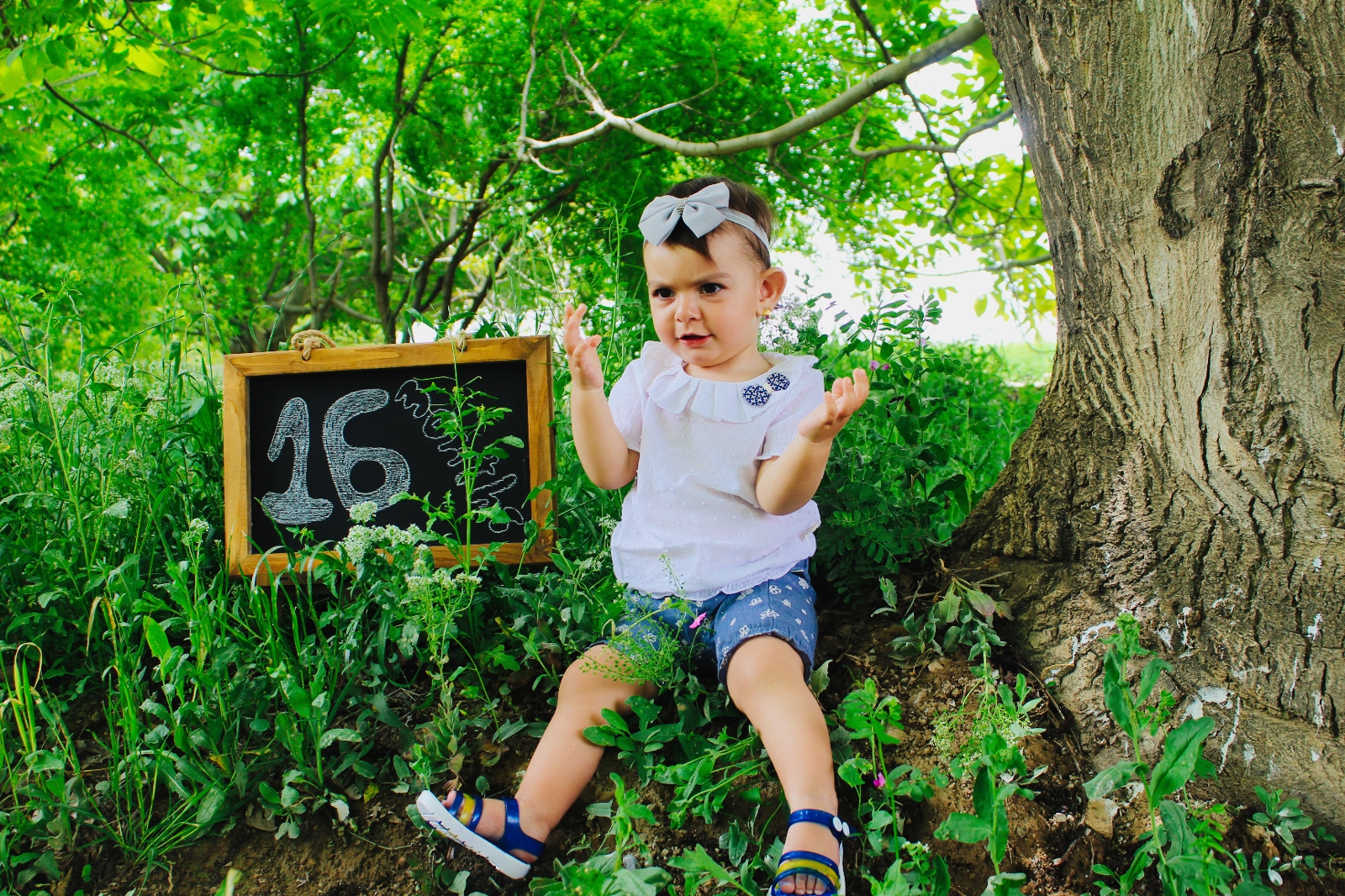 تم عکس بهاری کودک میترا زارع