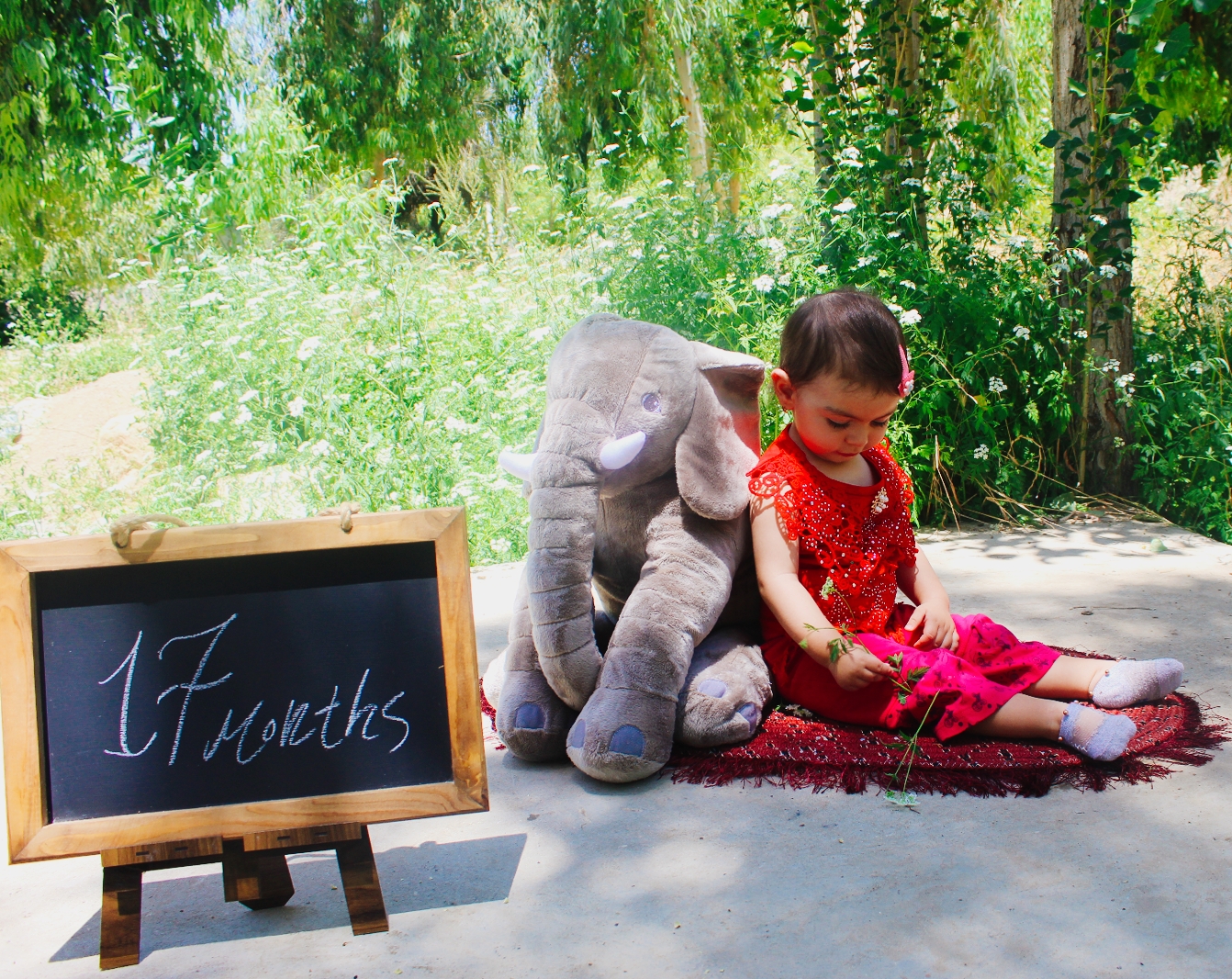 تخته سیاه فانتزی میترا زارع