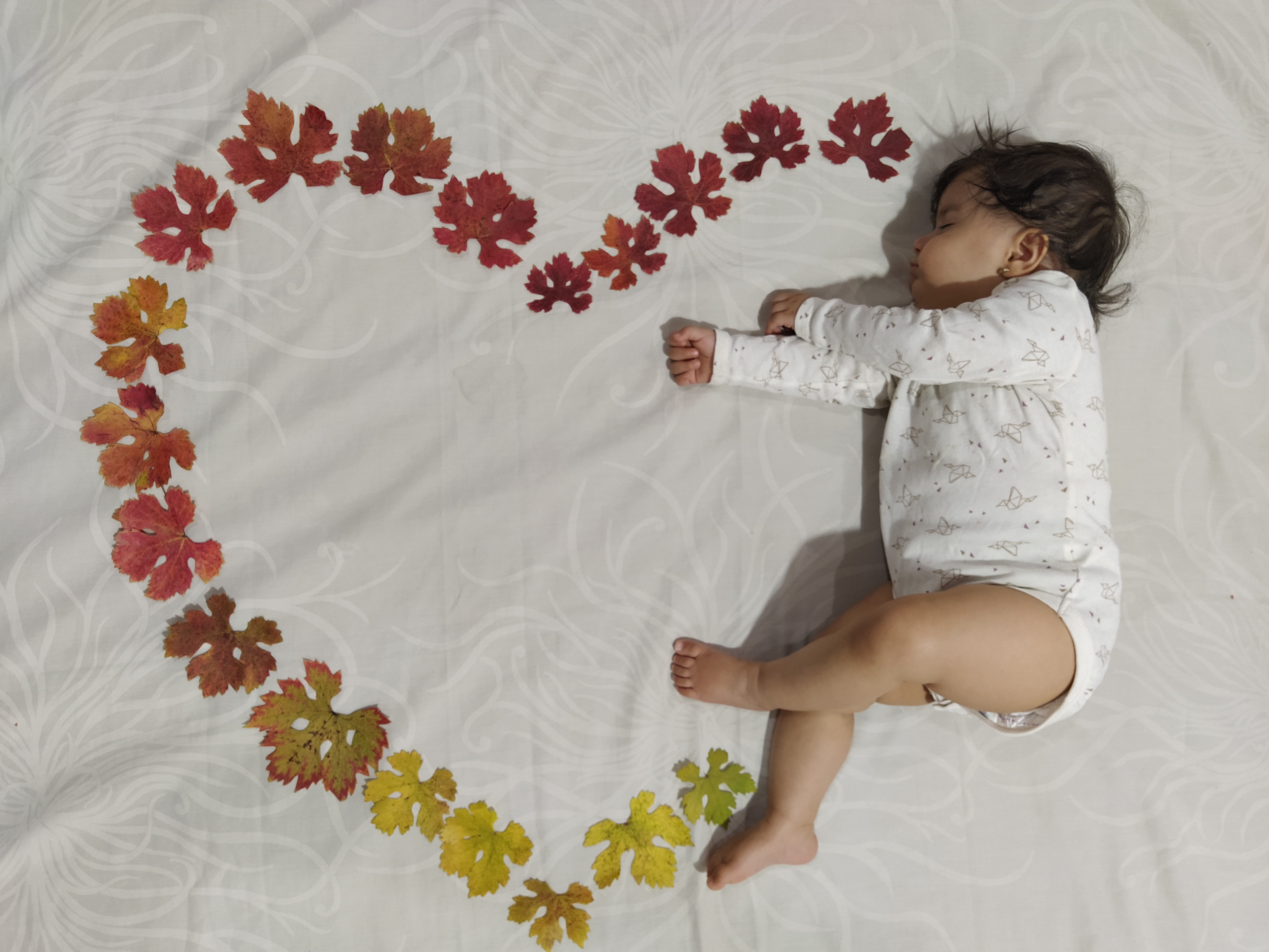 تم عکس پاییزی نوزاد الارا امینی