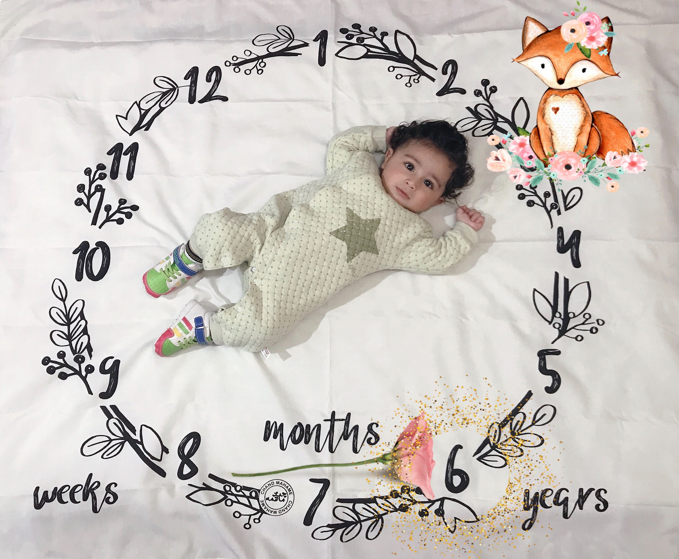 شش ماهگی نوزاد سيد نويان حبيبي