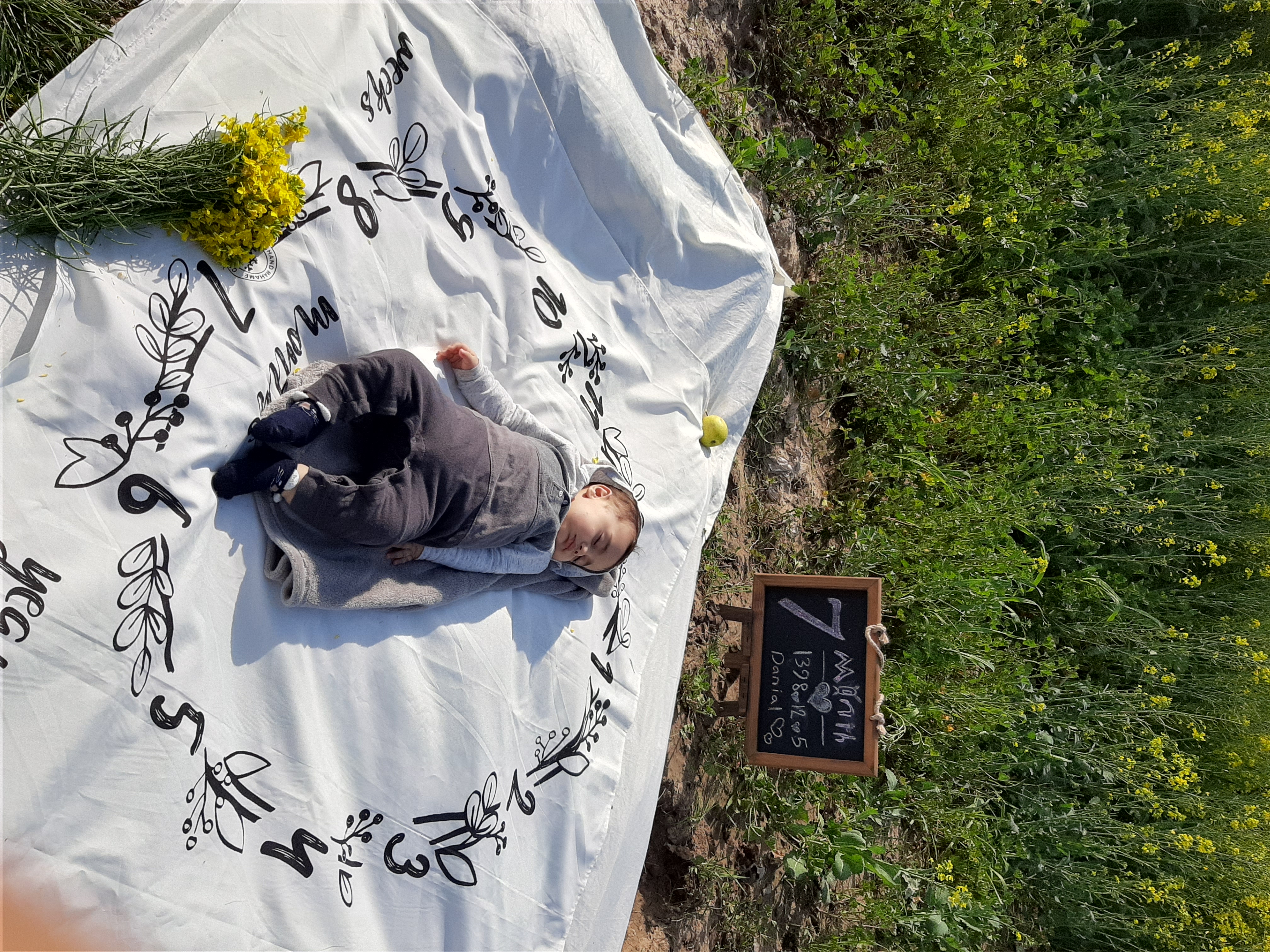 هفت ماهگی نوزاد دانیال رضایی