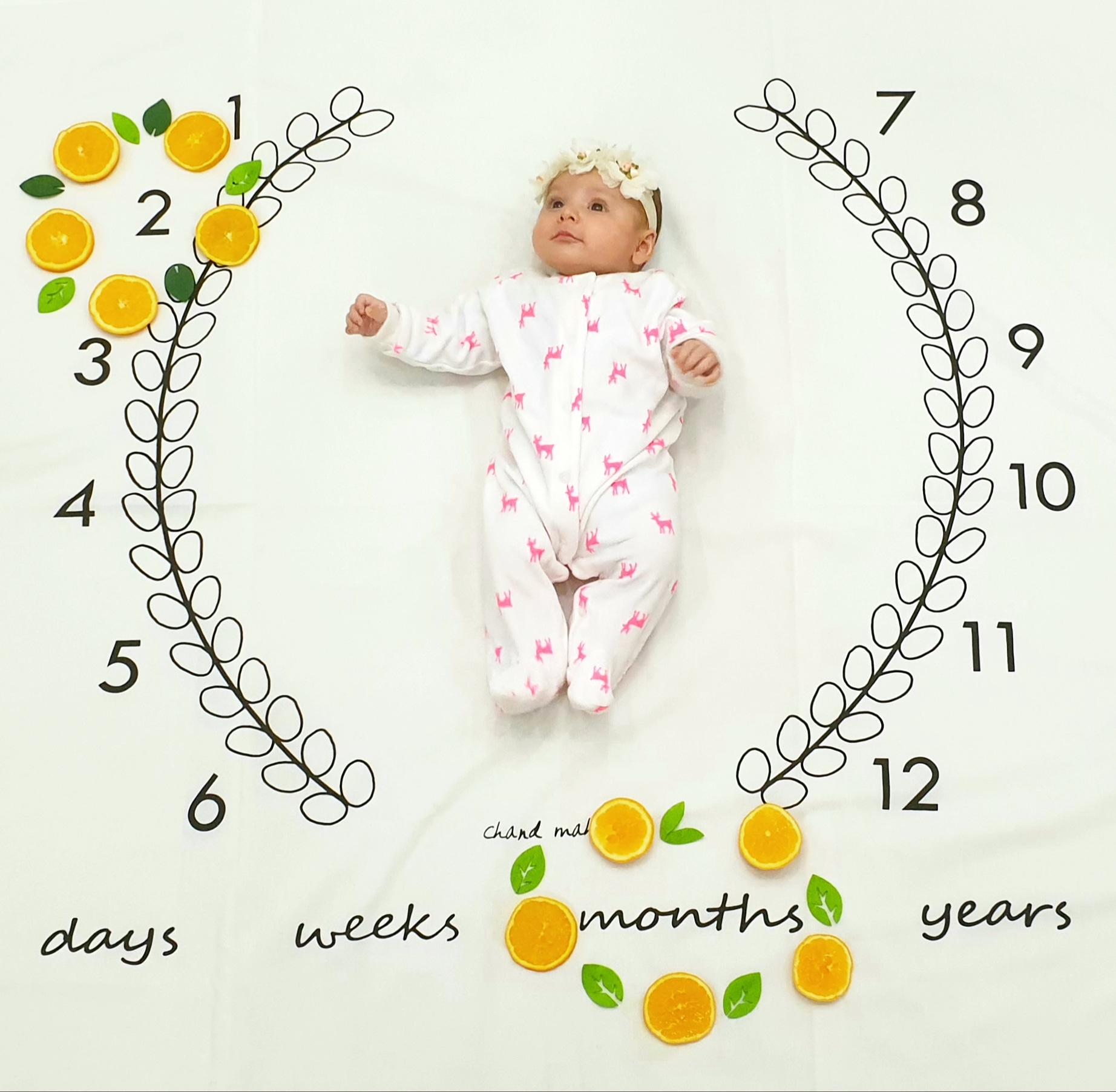 دو ماهگی نوزاد ستیا امیری