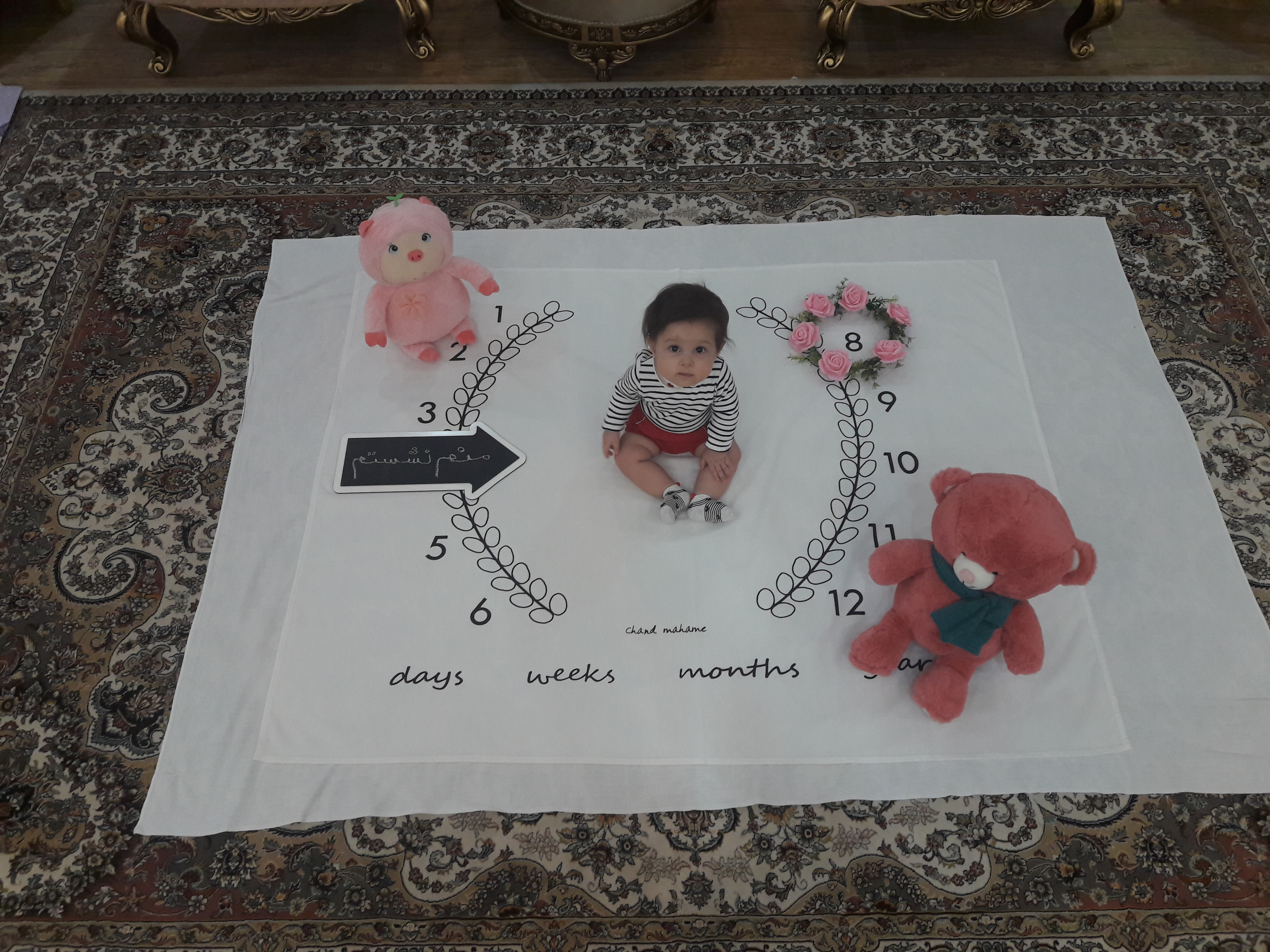 هشت ماهگی نوزاد سلین آصفی زاده