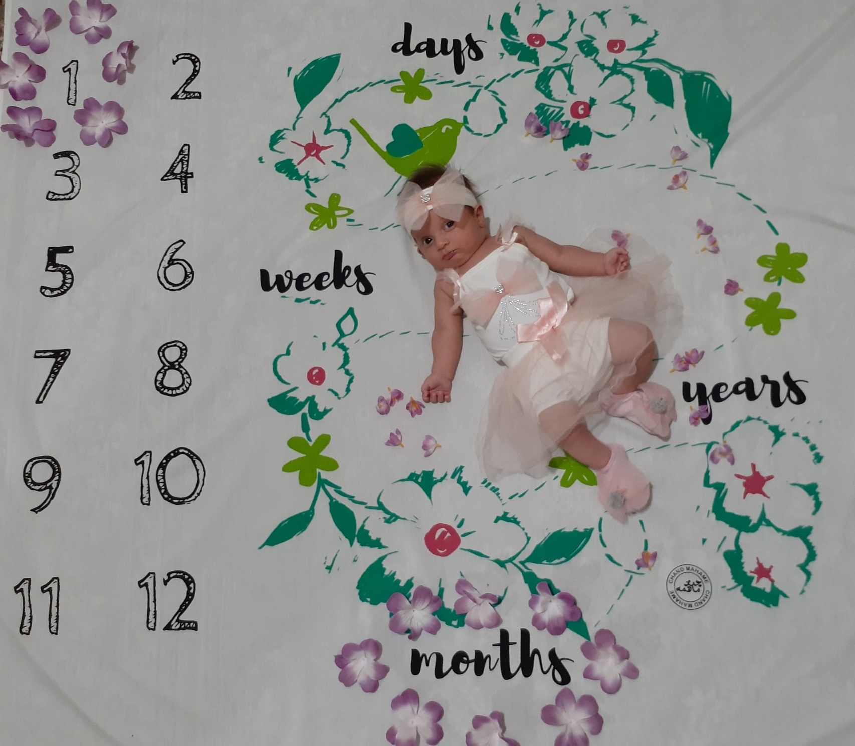 یک ماهگی نوزاد سیده فاطمه عبدالله زاده خراط