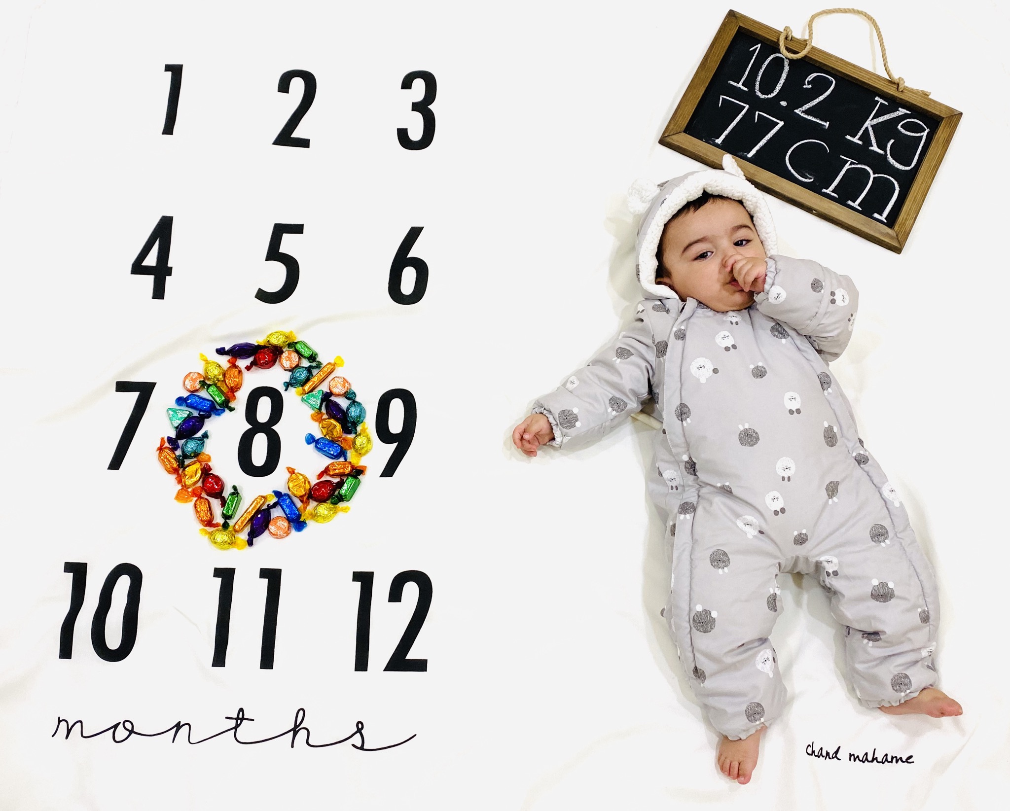 دوازده ماهگی نوزاد ماهان مهتابی