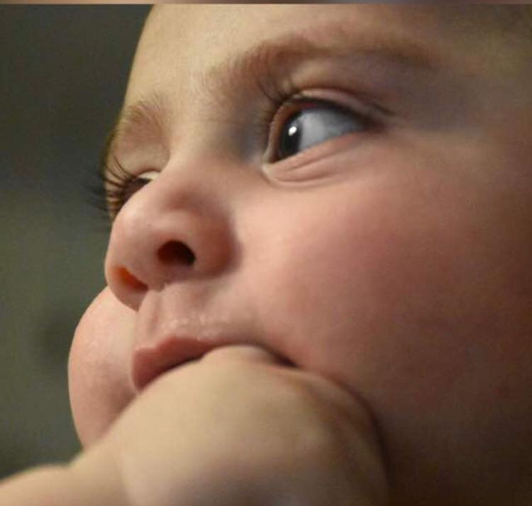 دو سالگی کودک کارن جمالی