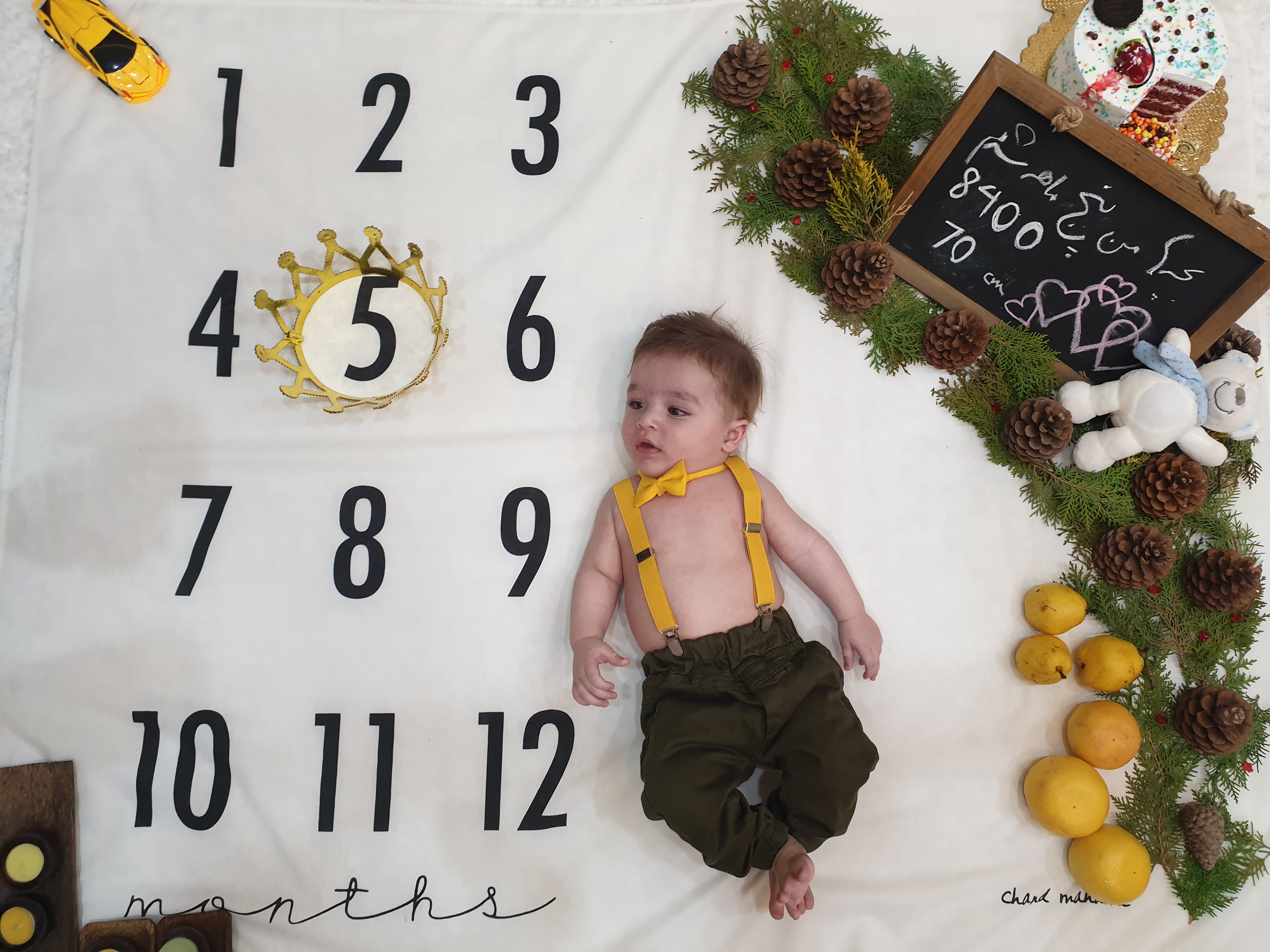 پنج ماهگی نوزاد هامين شعاعي