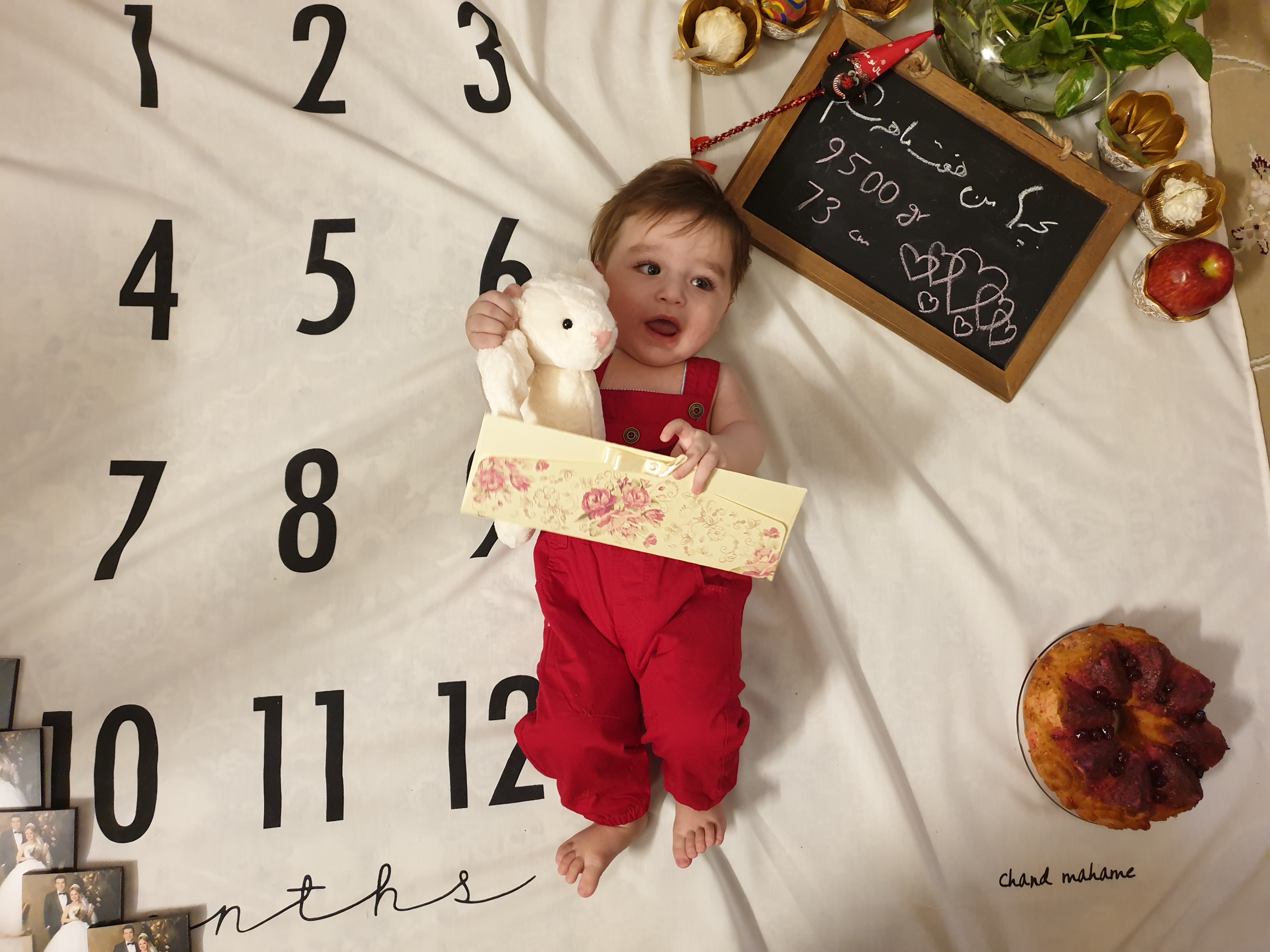 هفت ماهگی نوزاد هامين شعاعي