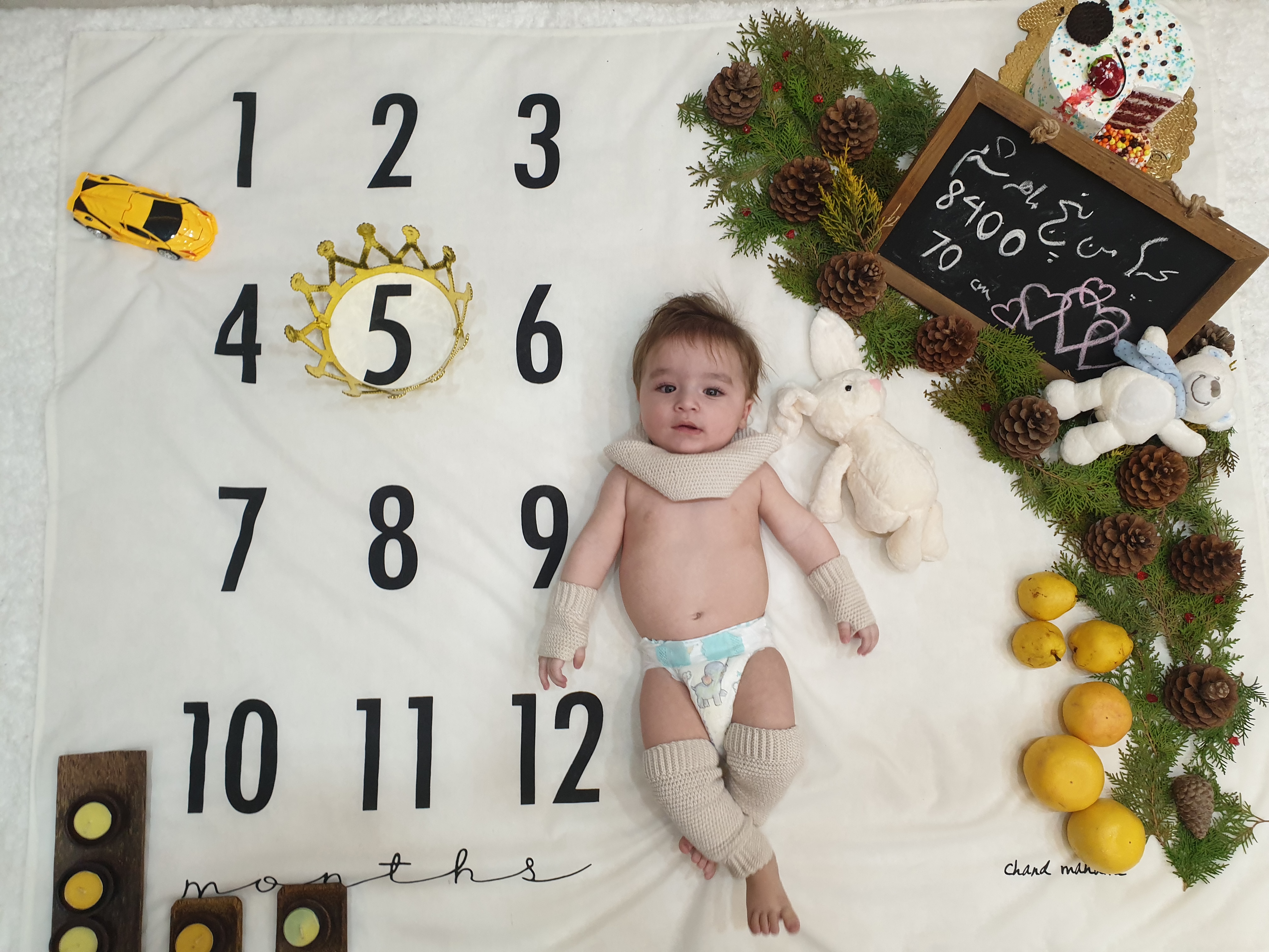 پنج ماهگی نوزاد هامين شعاعي