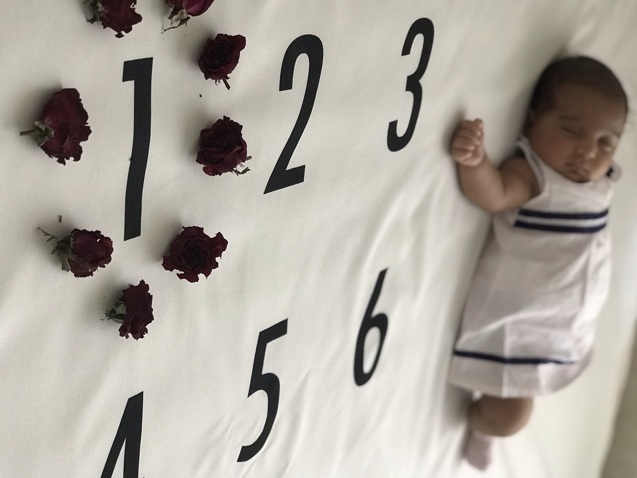 یک ماهگی نوزاد پناه کابلی