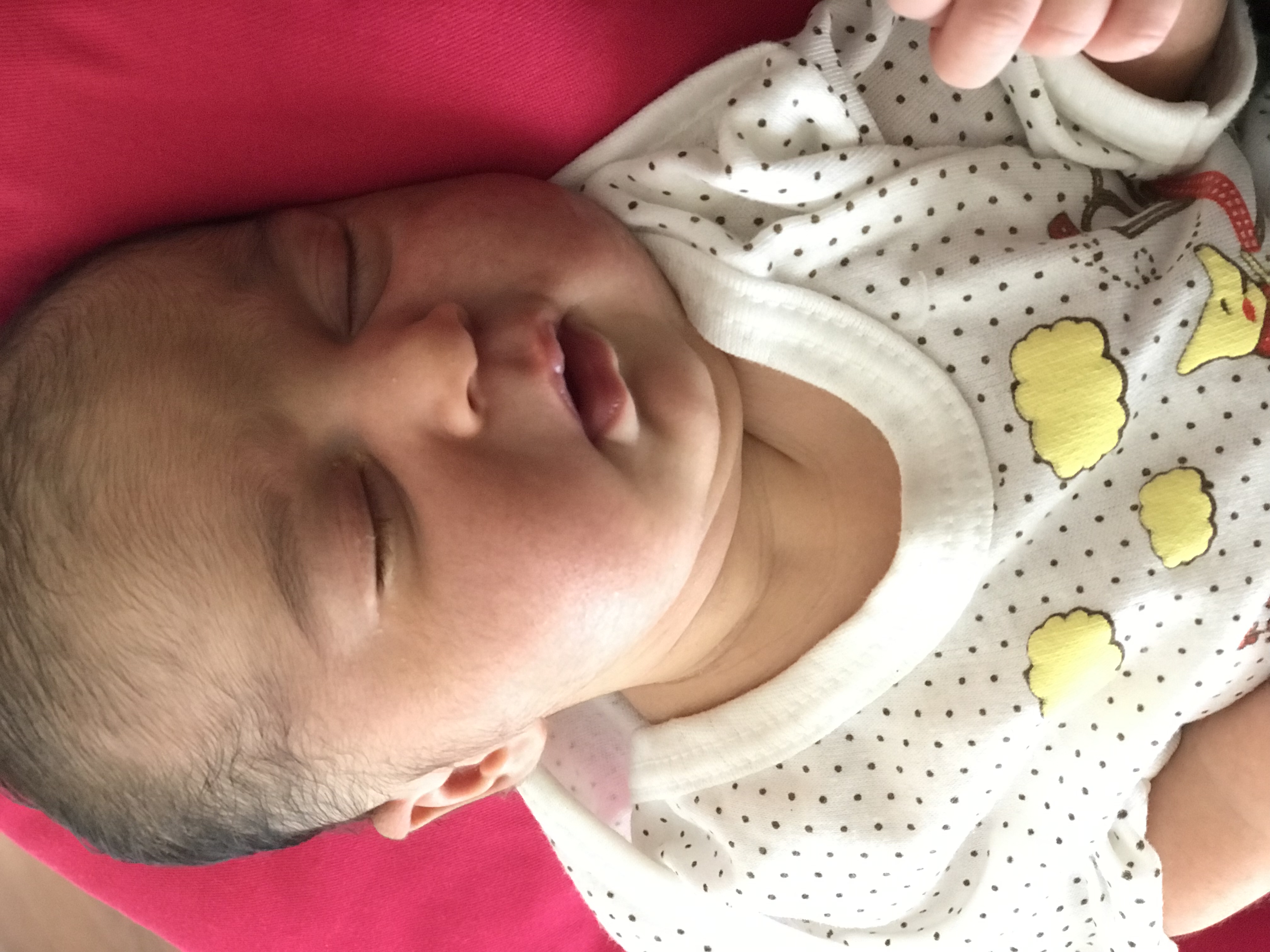 متولد شدن نوزاد پناه کابلی