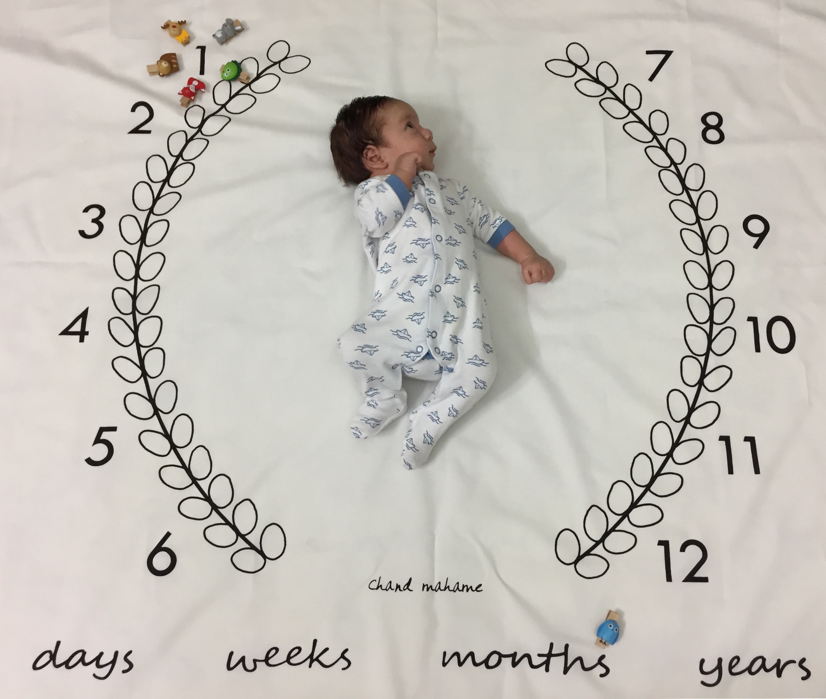 یک ماهگی نوزاد کیان فرهادی