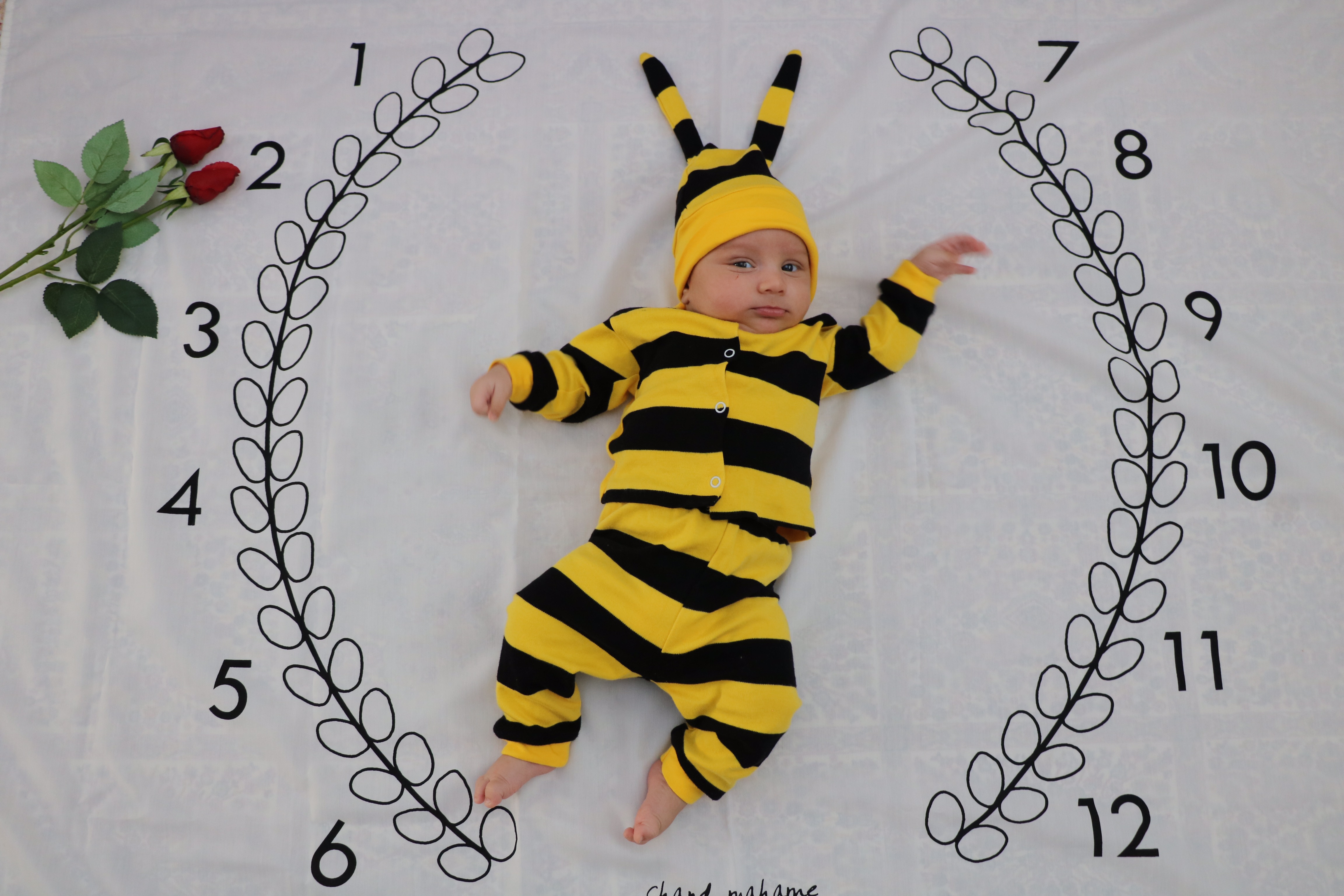 عکس نوزاد پسر هامین وکیلی