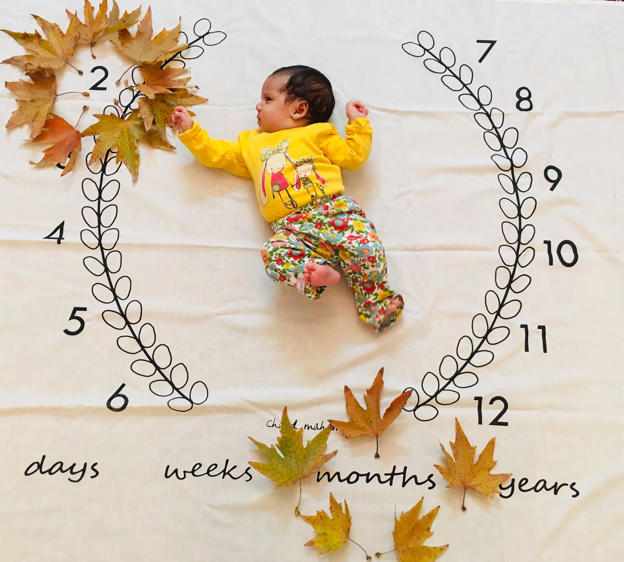 پارچه ماه شمار طرح شاخه زیتون مهرسانا مختاری