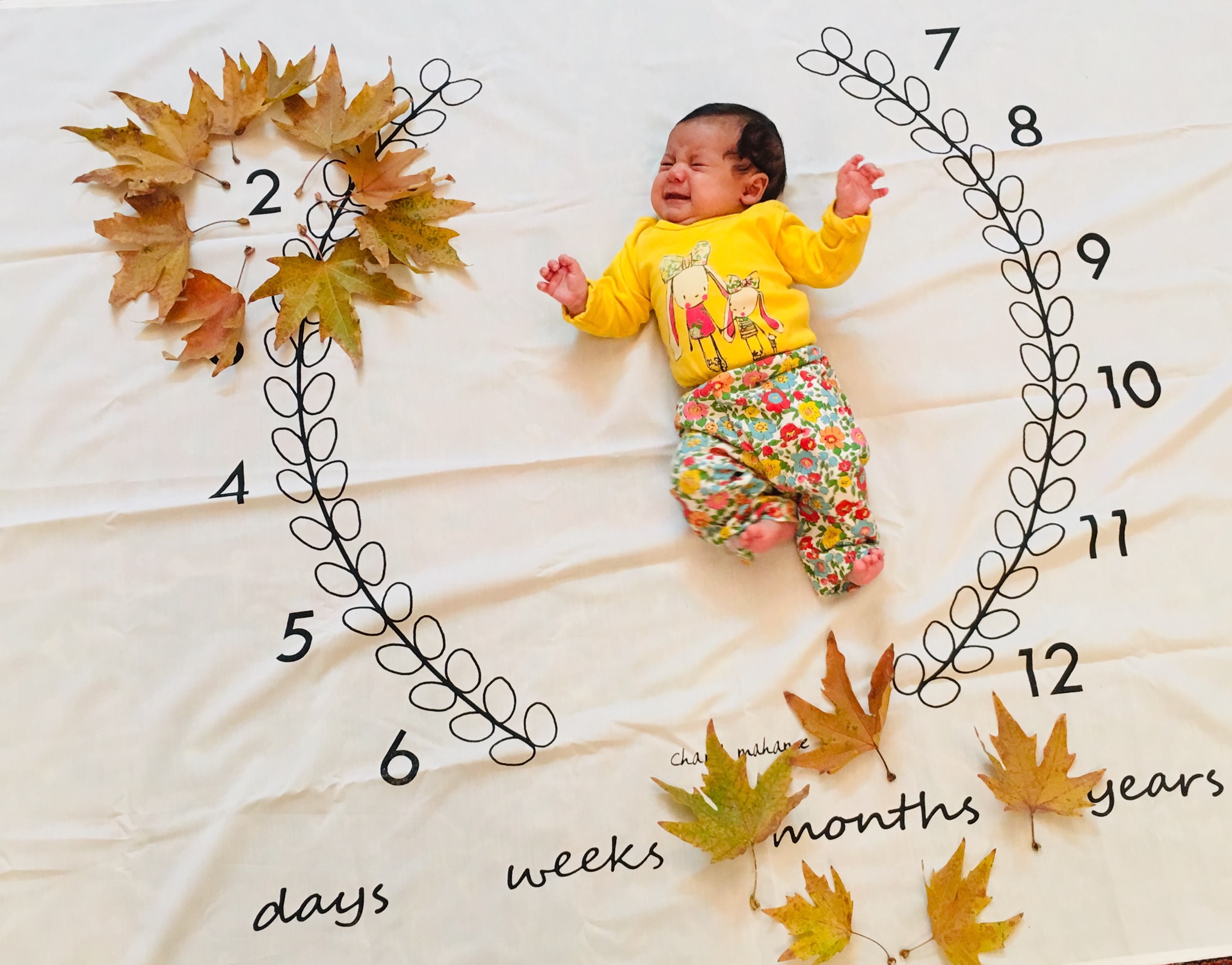 یک ماهگی نوزاد مهرسانا مختاری