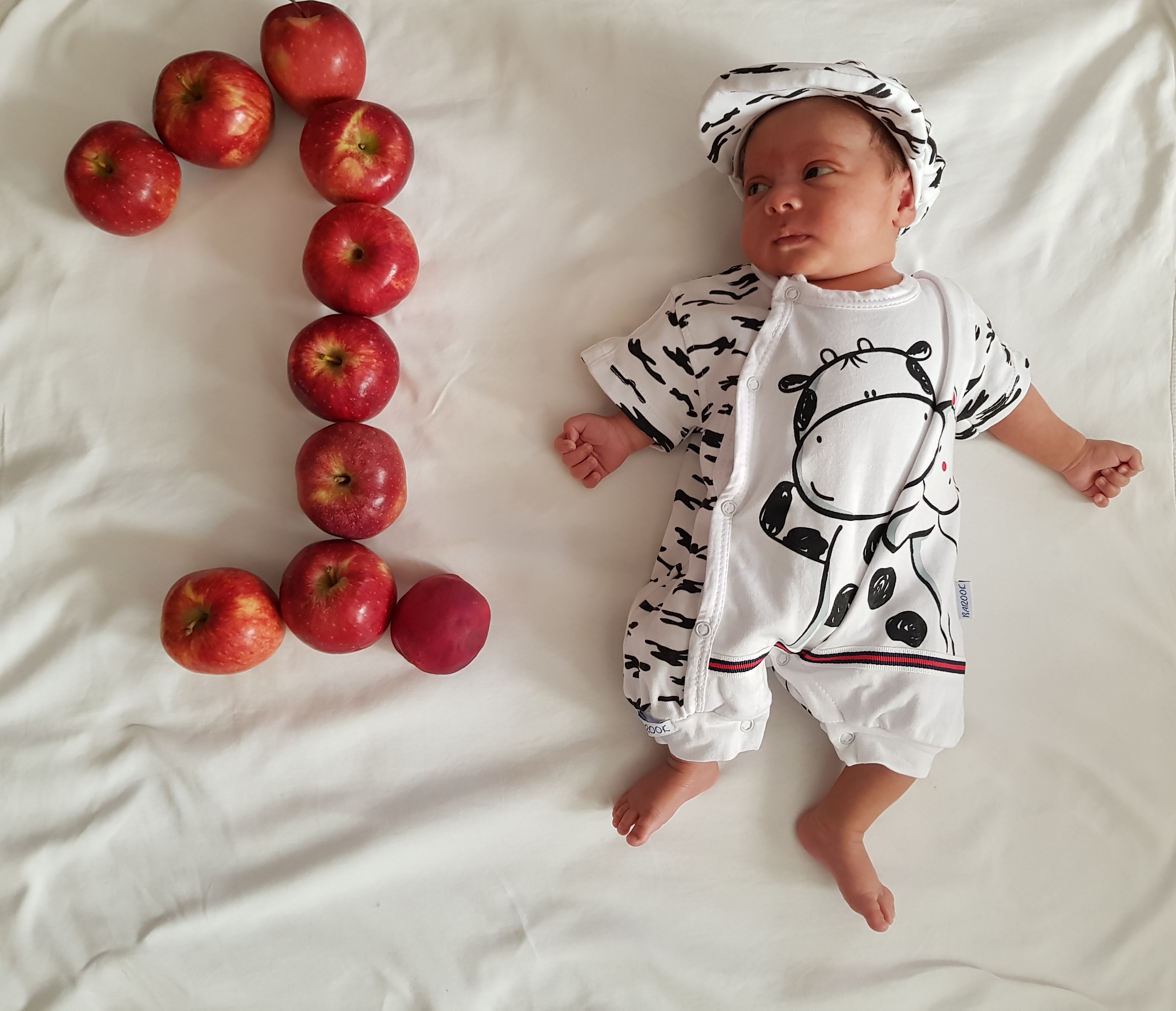 یک ماهگی نوزاد امیر رضا شهرکی