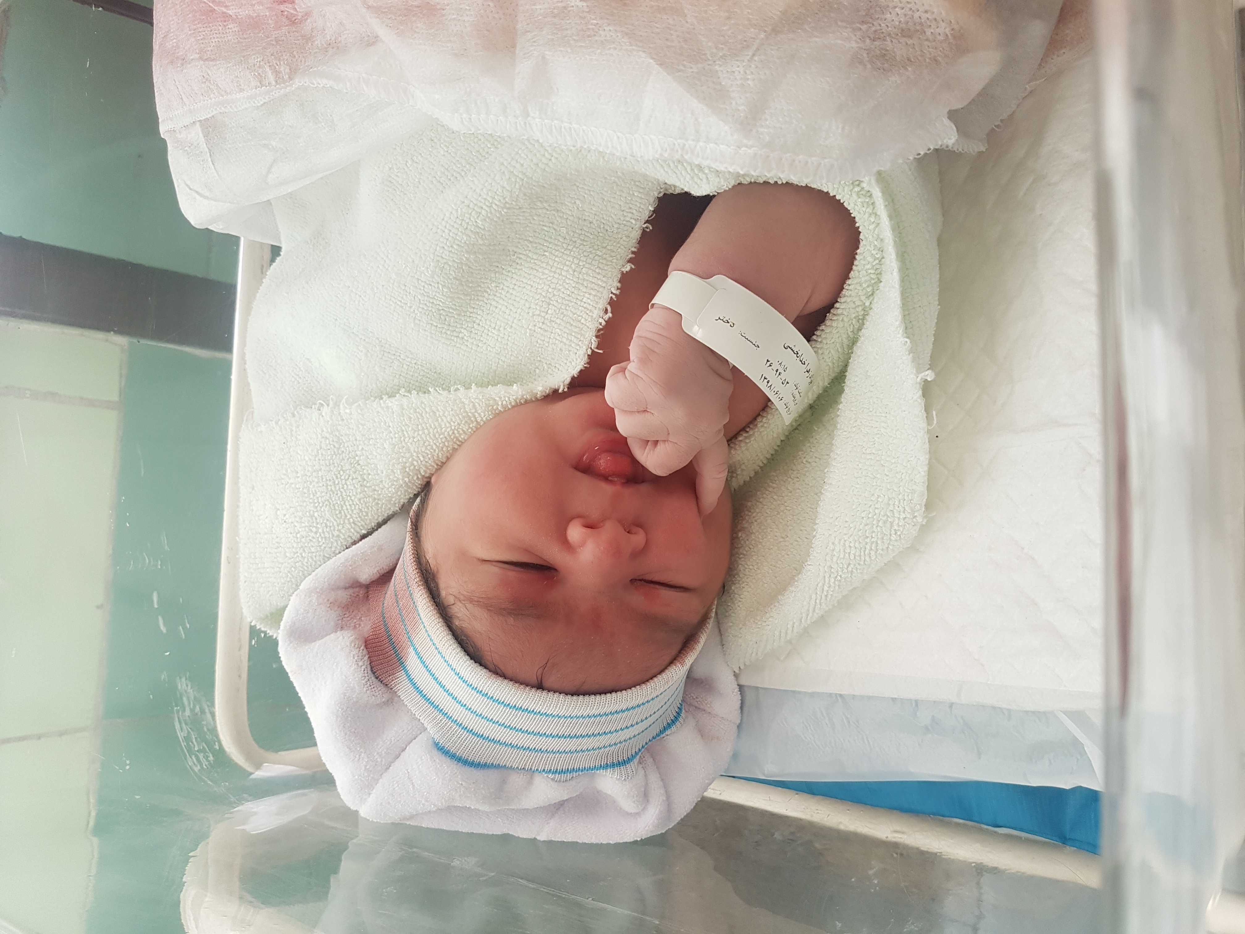 متولد شدن نوزاد دلوین سورانی