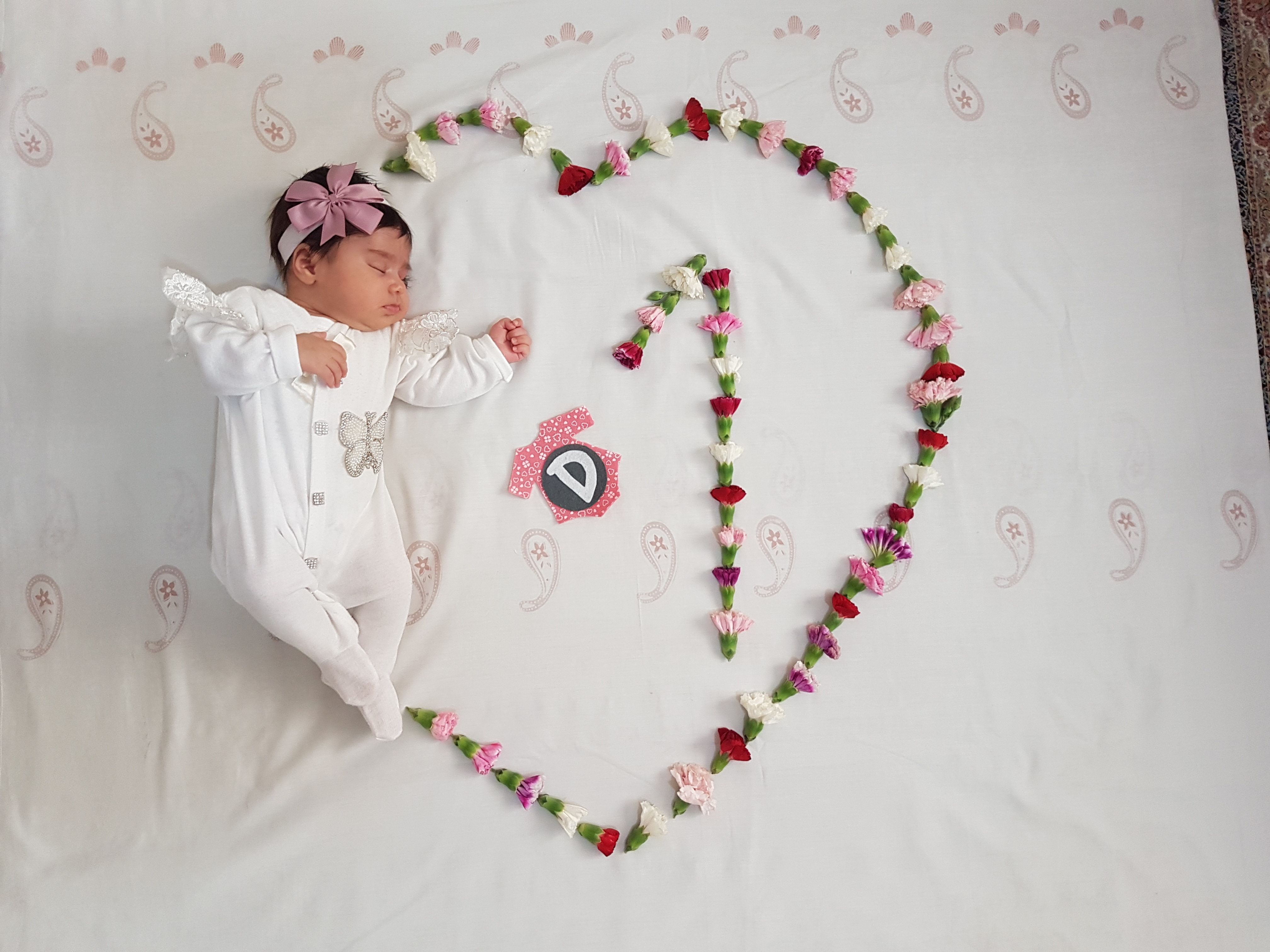 یک ماهگی نوزاد دلوین سورانی