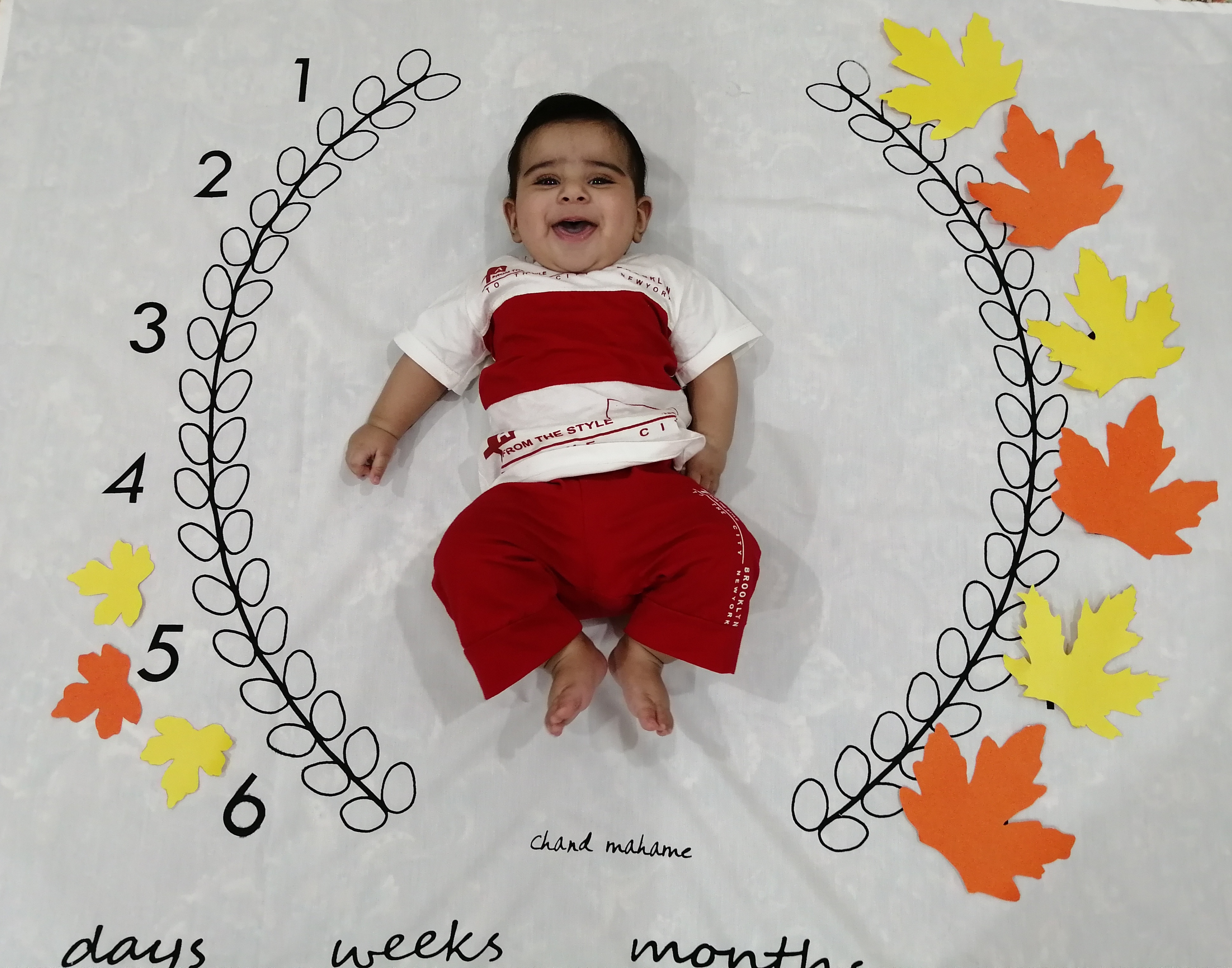 پارچه ماه شمار طرح شاخه زیتون یاسین مرادی