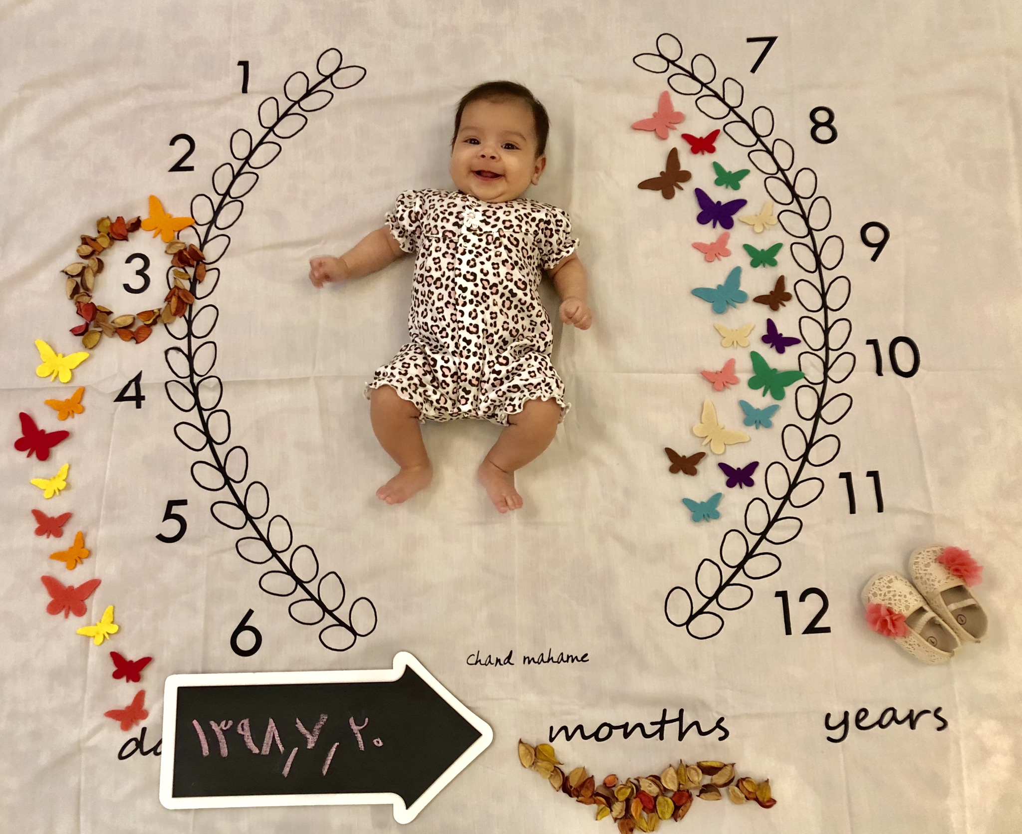 تخته-سیاه-مدل-فلش-4565