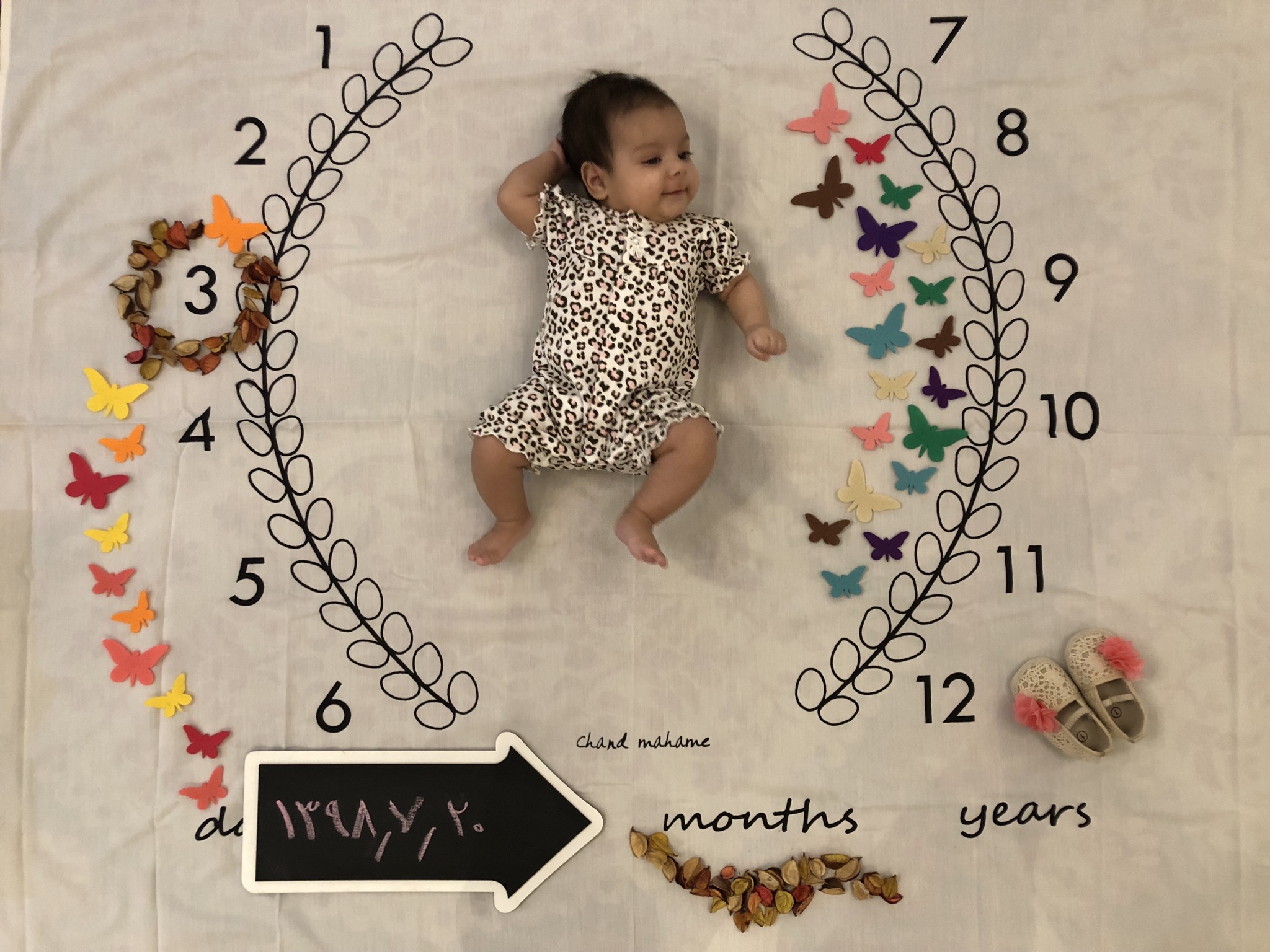 سه ماهگی نوزاد مانيا قلندر