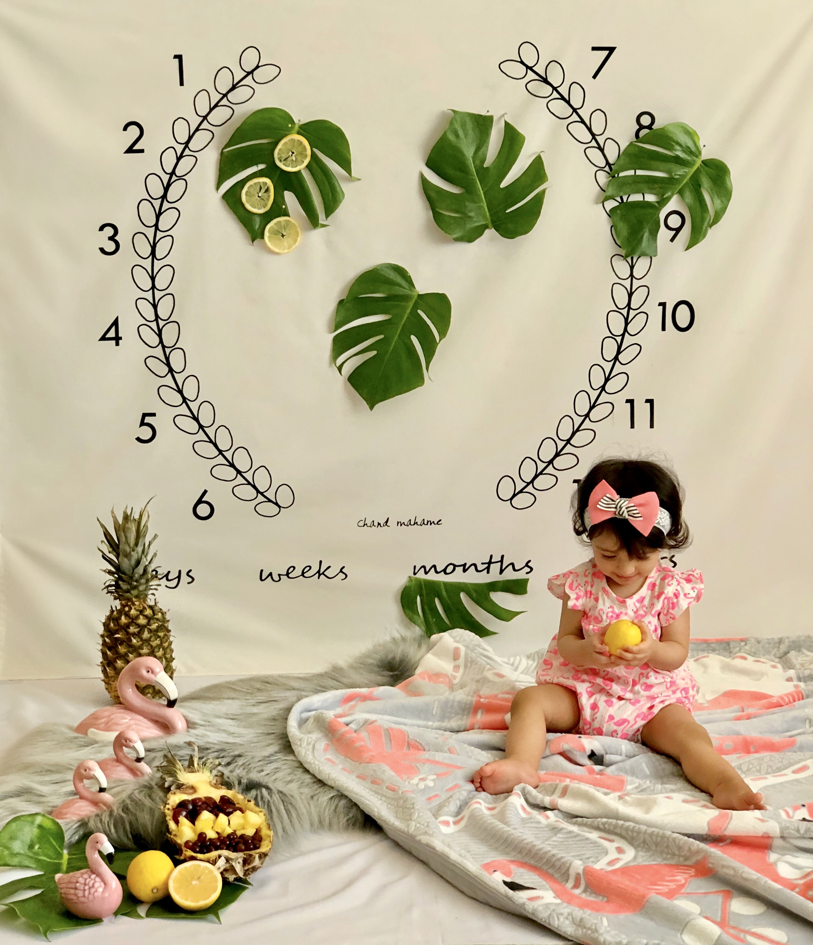 نه ماهگی نوزاد دلوین شهرکی