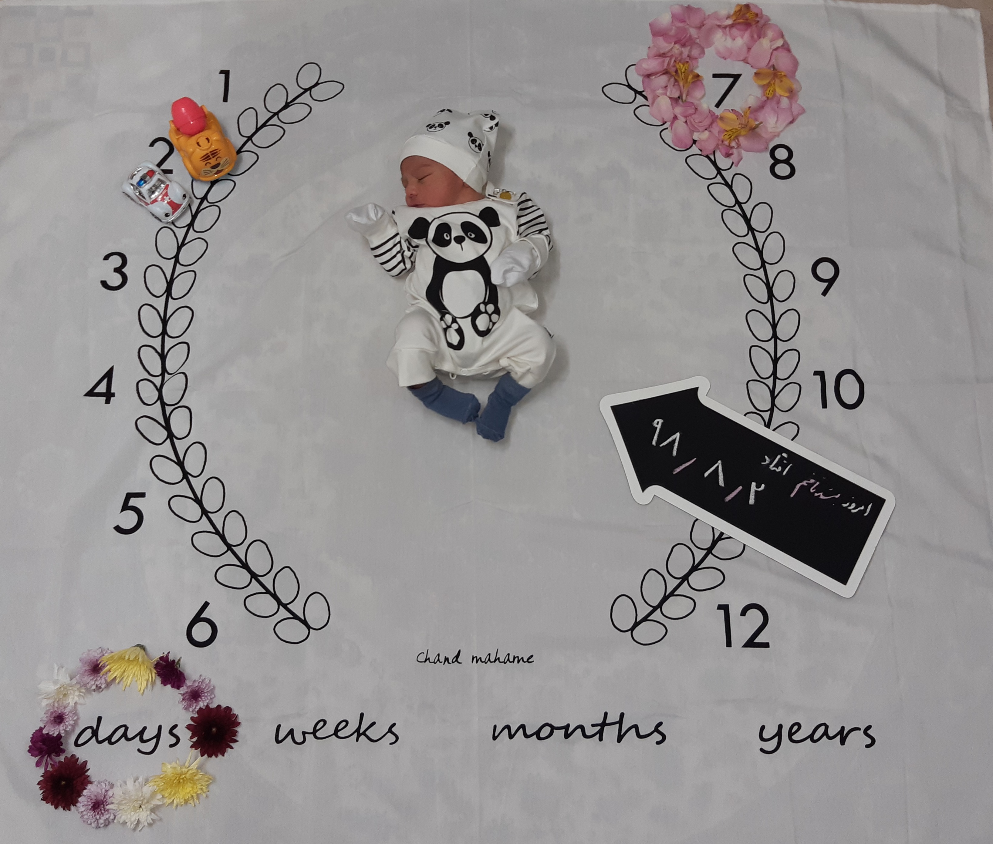 متولد شدن نوزاد محمد حسین شهرابی فراهانی