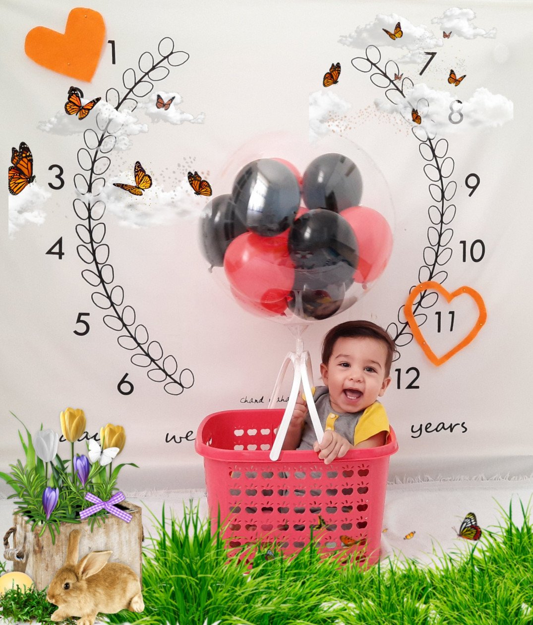 یازده ماهگی نوزاد محمد حسین شهرابی فراهانی