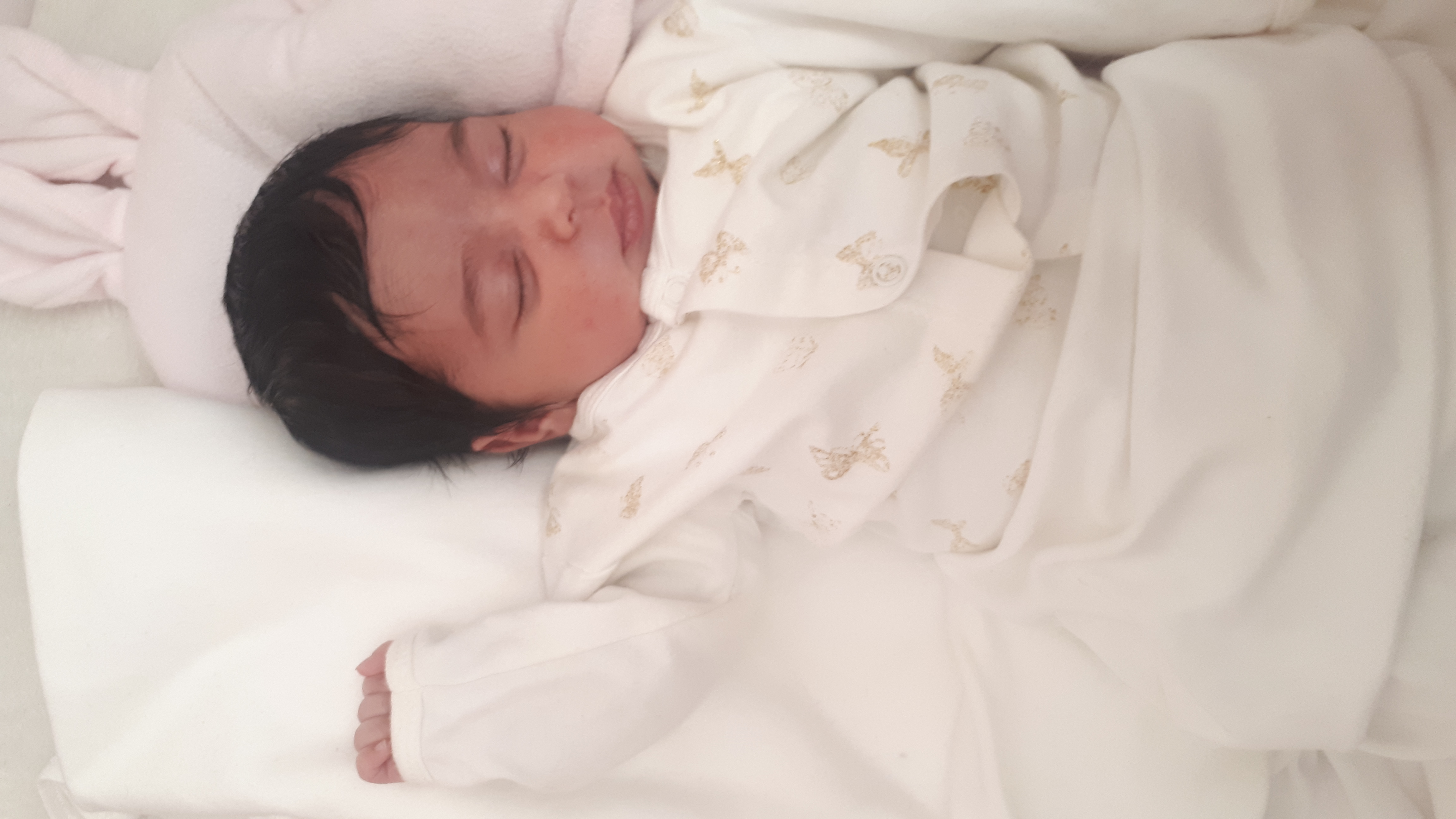 متولد شدن نوزاد مستان محمدی