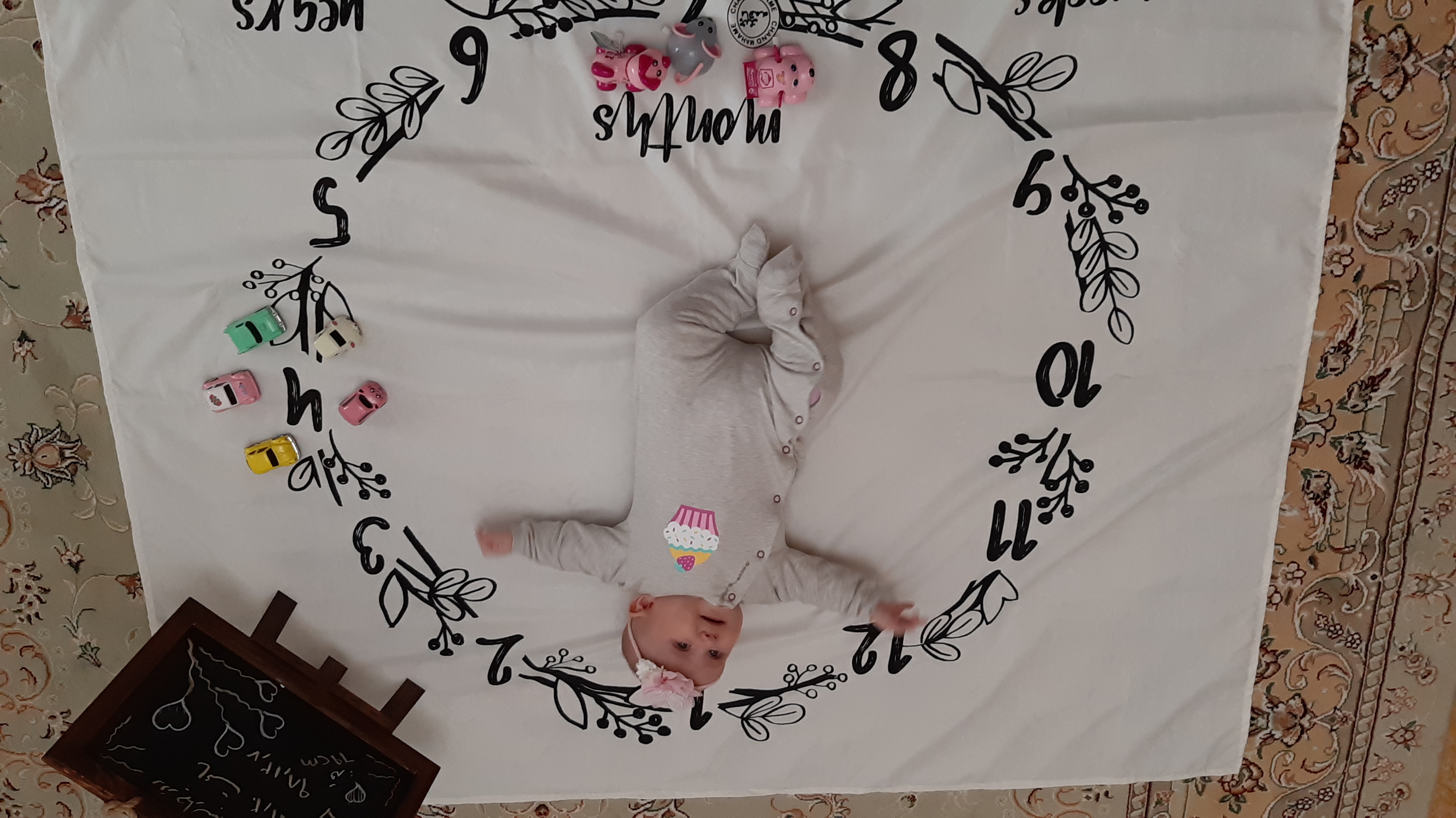 آلبوم خاطرات کودکی حسنا حیرانی نوبری