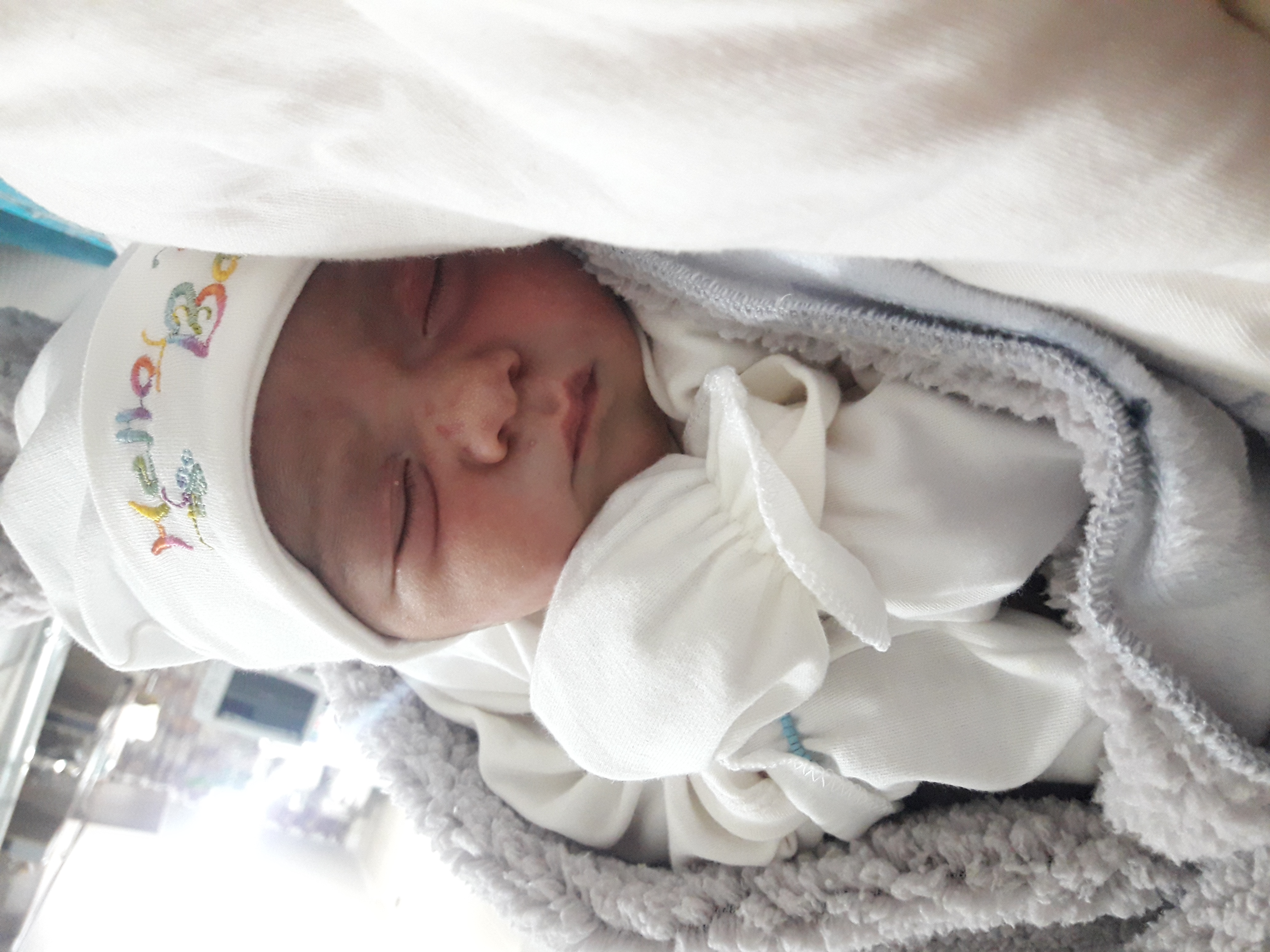 متولد شدن نوزاد نیلا مریخی