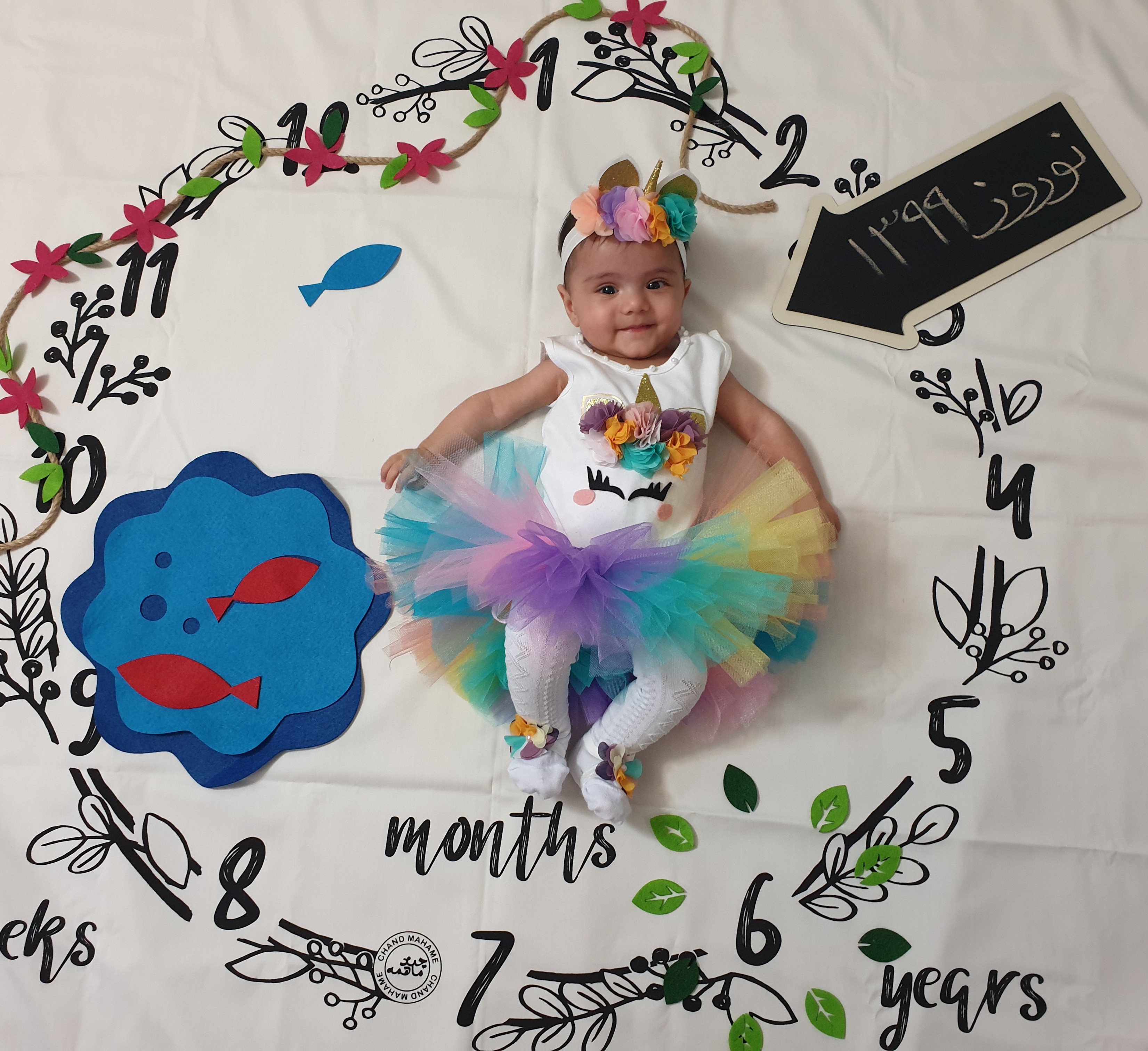 تخته-سیاه-مدل-فلش-13359