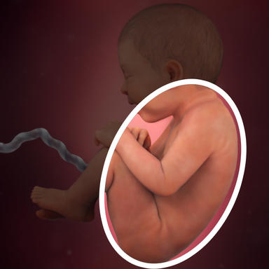 ماده ورنیکس و موهای بدن نوزاد که محافظ پوستش بودند، شروع به ریختن می کند.